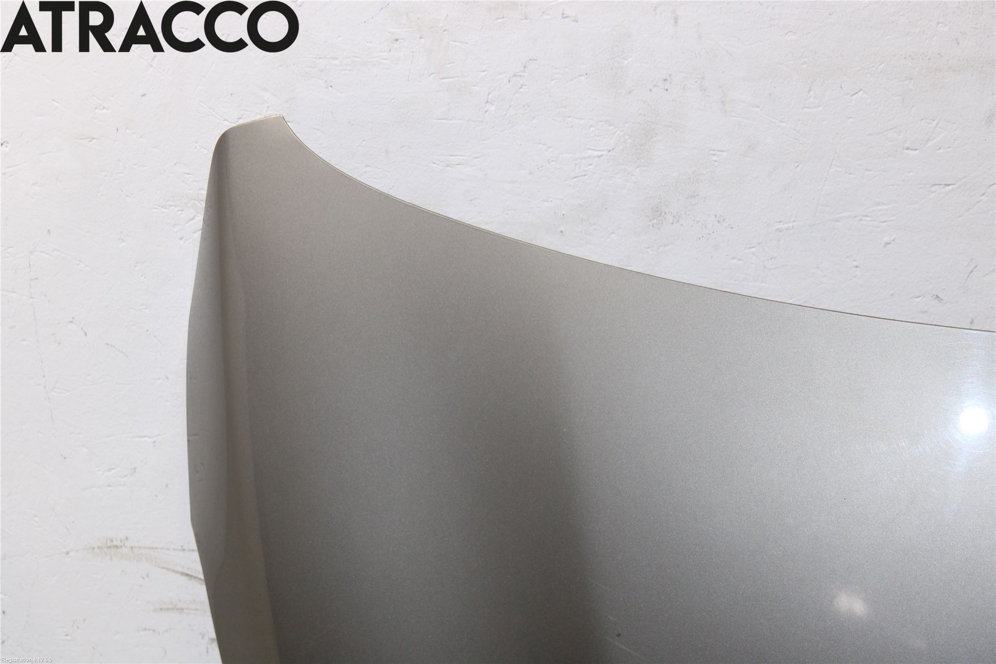 Renault CAPTUR 13-19 Panser