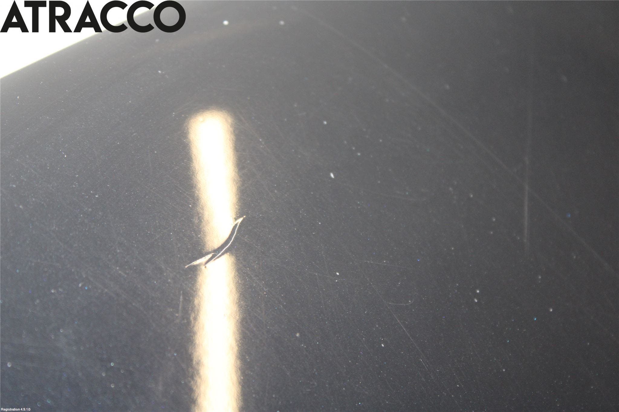 BMW X3 E83     03-10 Panser