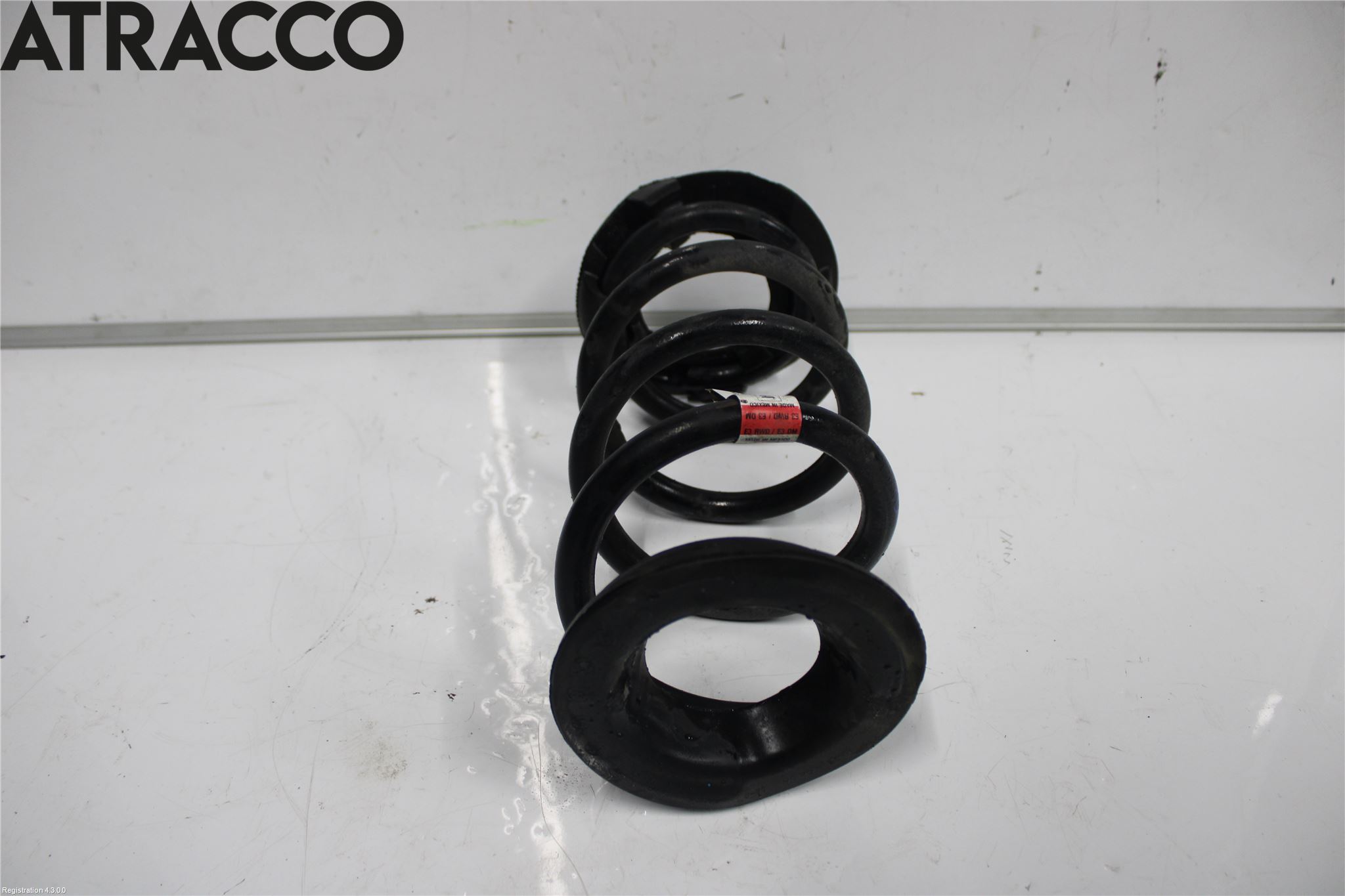 Tesla MODEL 3 17- Fjær Bak