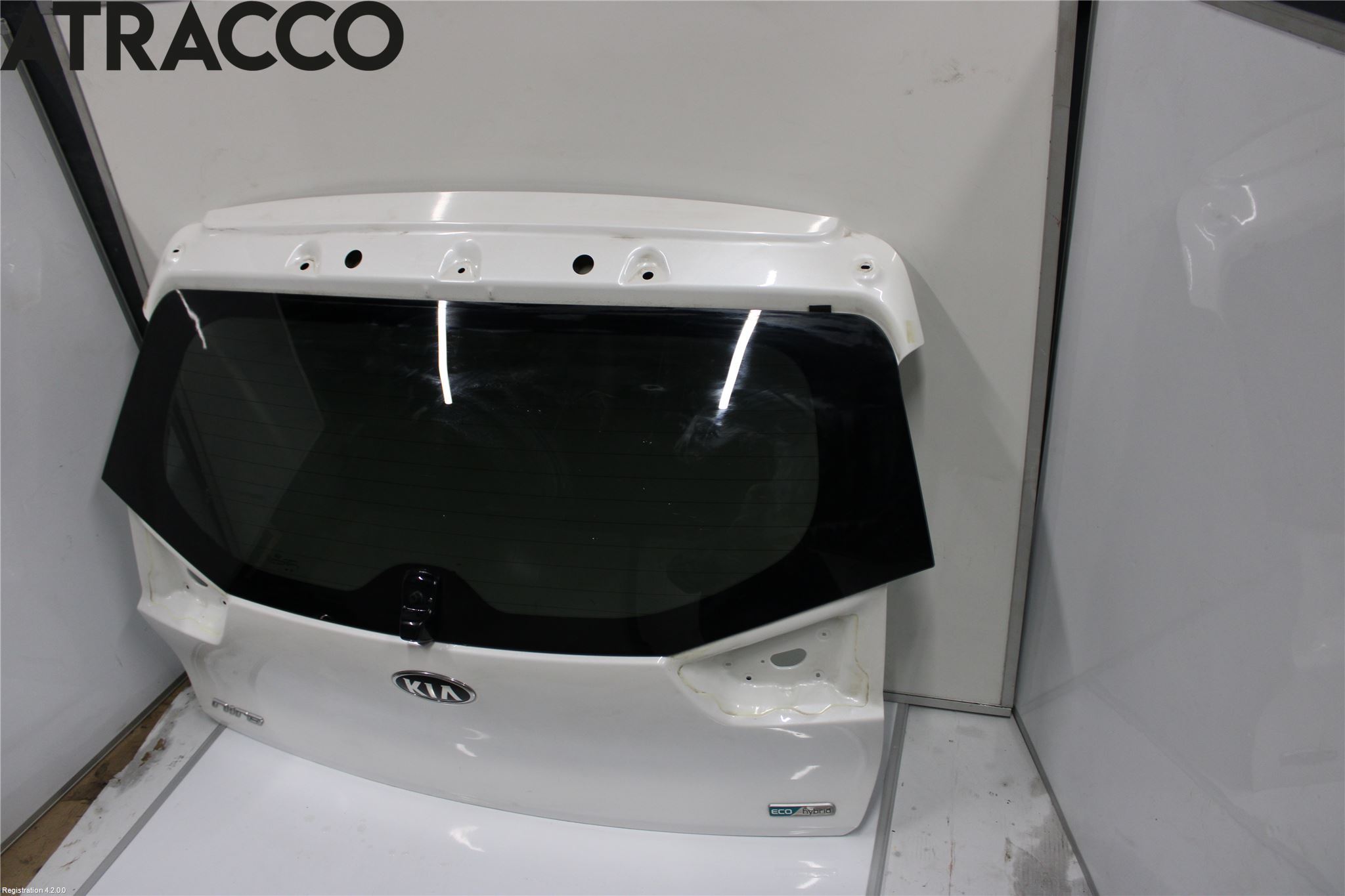 Kia NIRO (DE) 17-22 Bakluke Stv