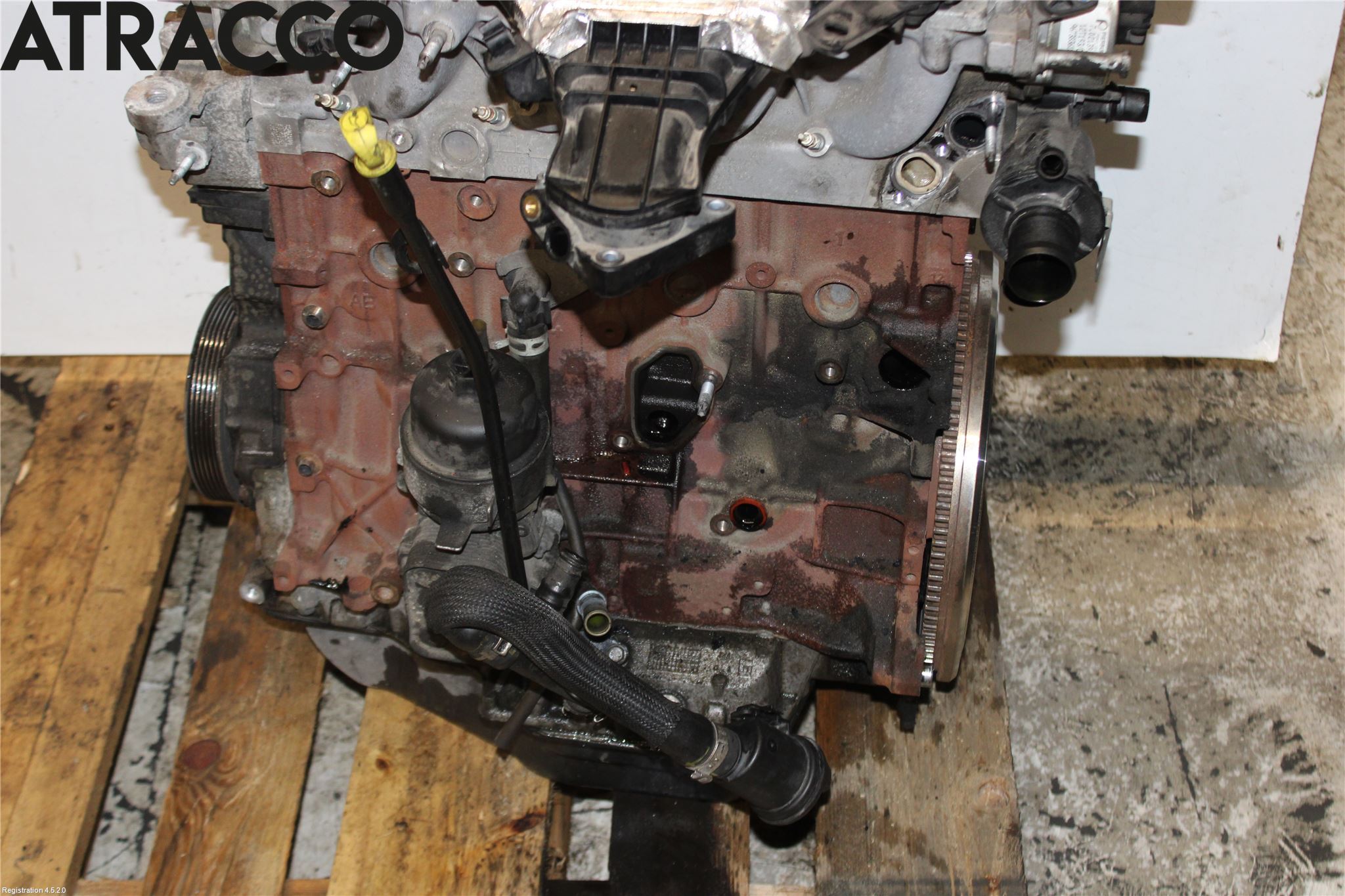 Ford FOCUS 11-14 Motor Diesel