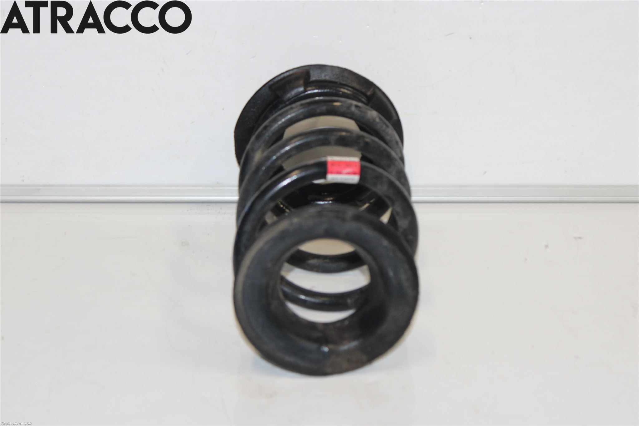 Tesla MODEL 3 17- Fjær Bak