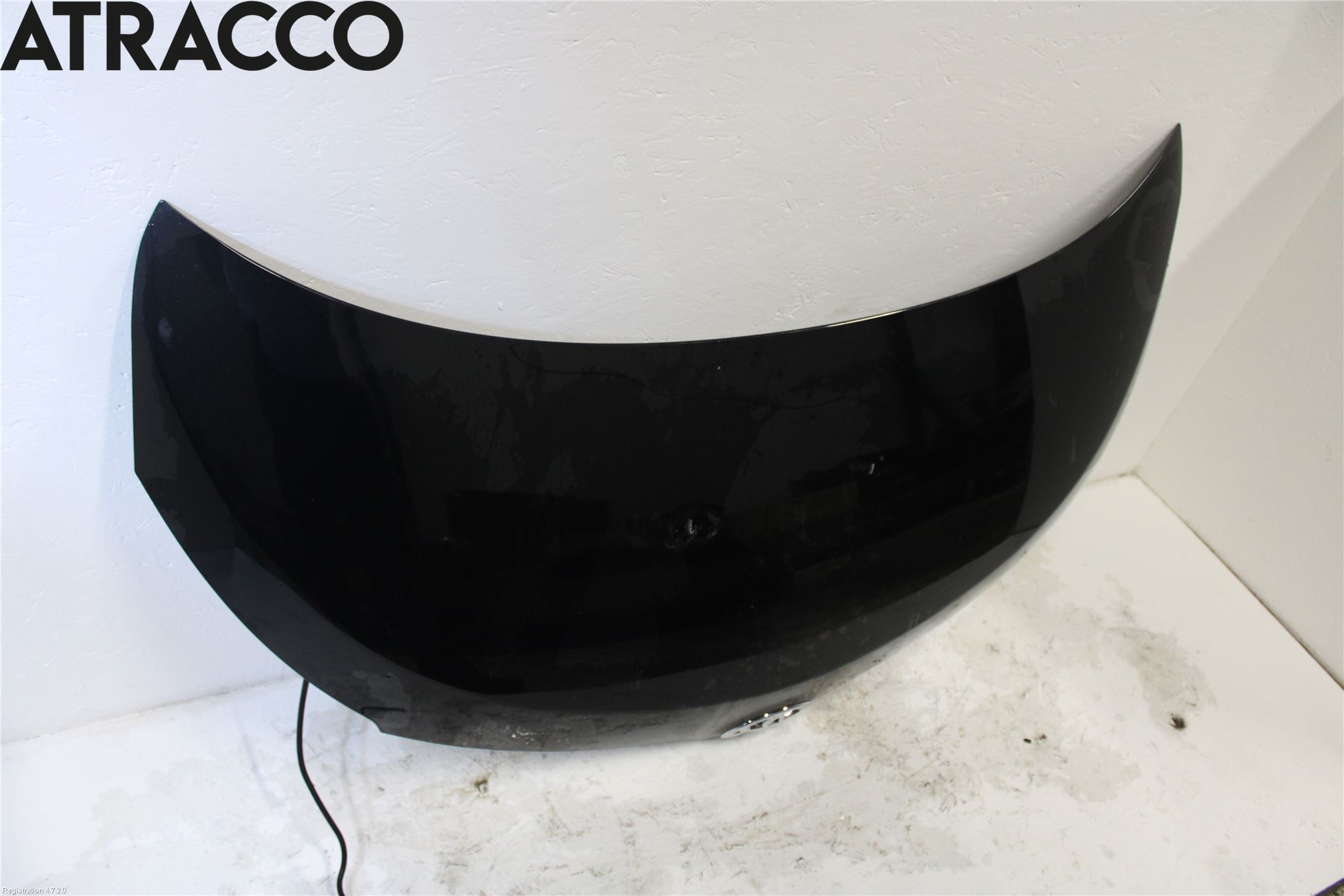 Toyota URBAN CRUISER Panser