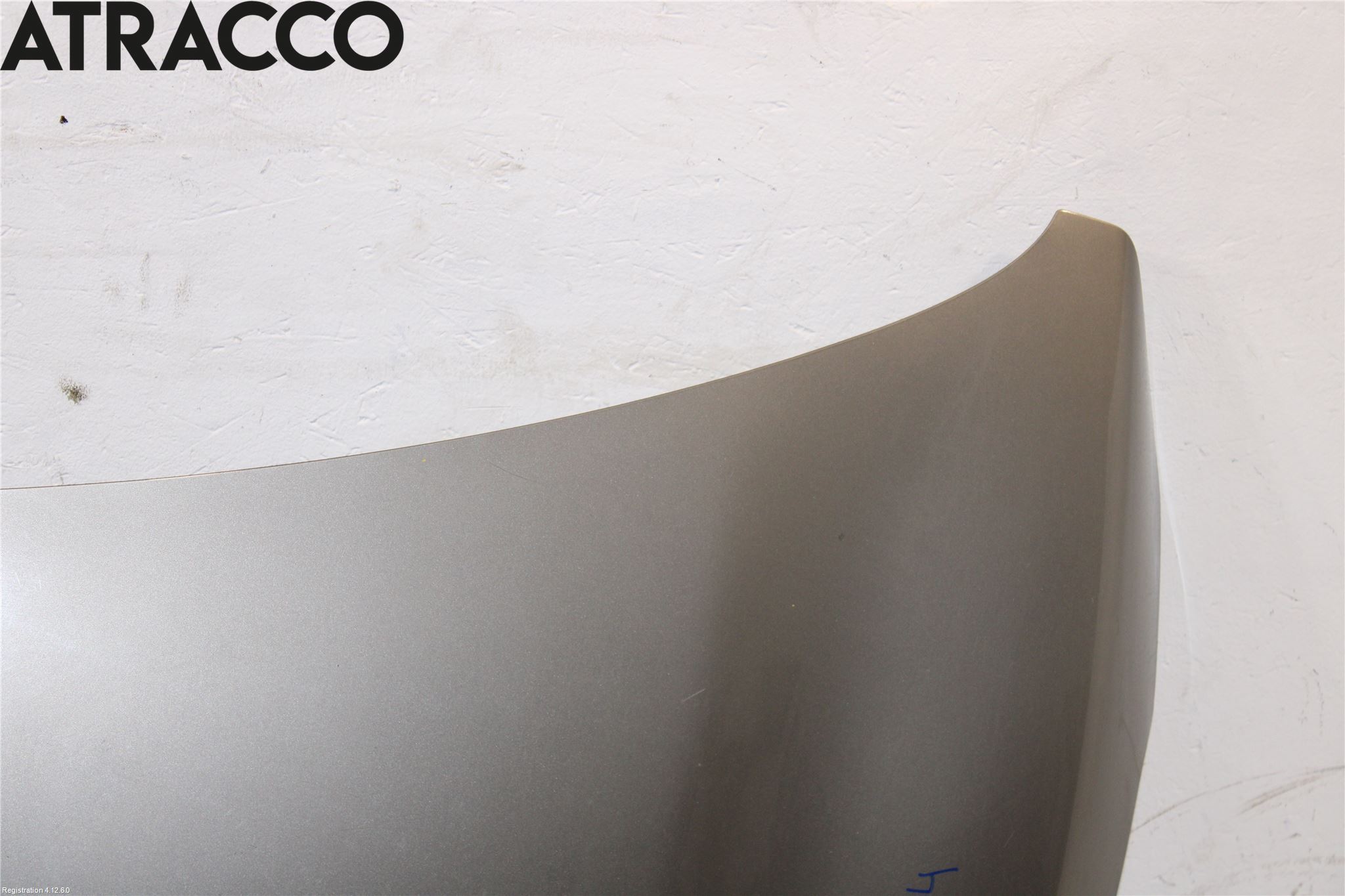 Renault CAPTUR 13-19 Panser