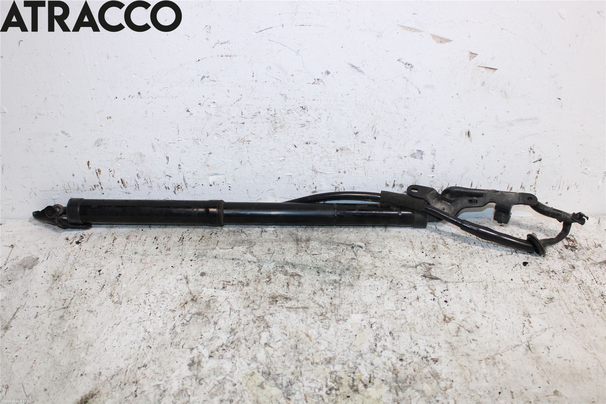 Toyota RAV4 13-18 Bakluke Demper-Gassfjær