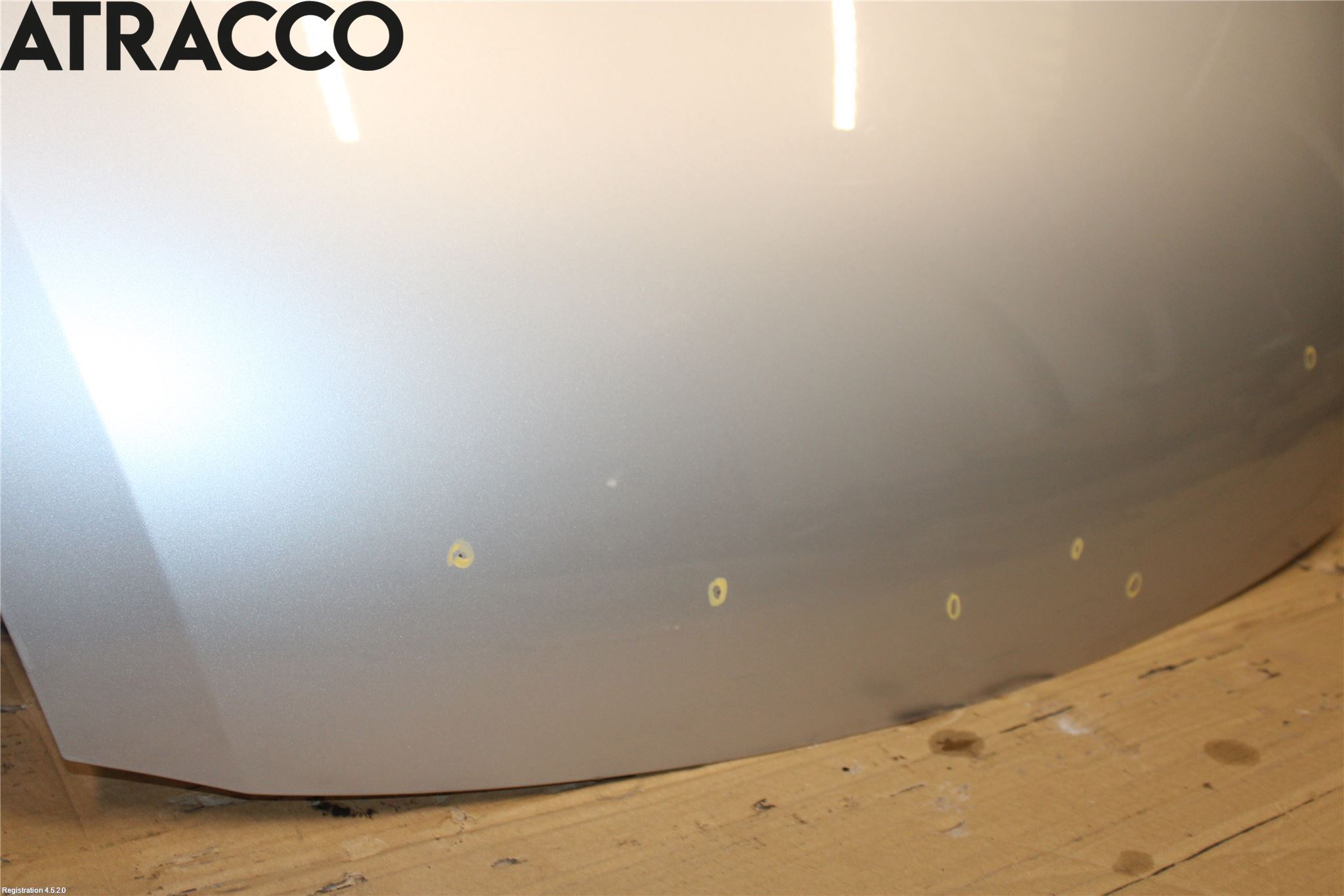 Suzuki SWIFT 05-10 Panser