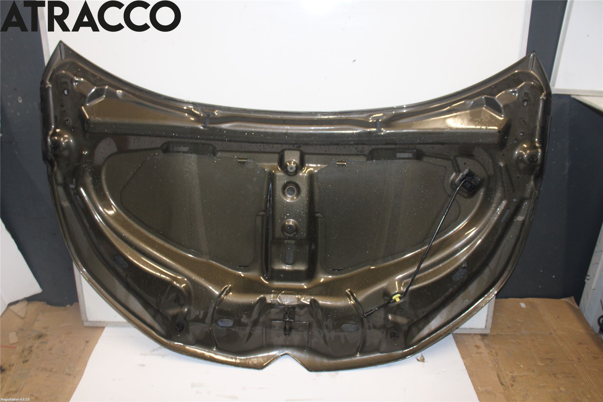 Citroen JUMPER 07-13 Panser