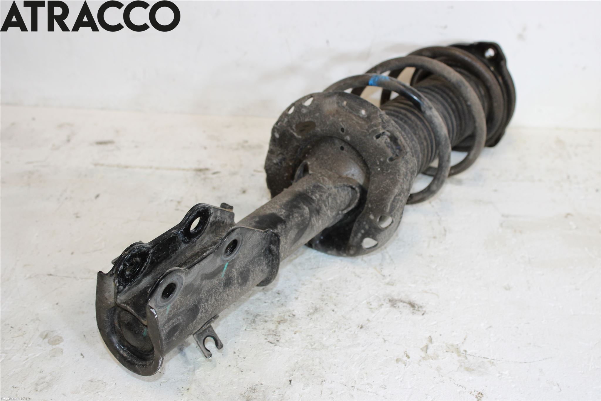 MG 4 23- Fjærbein Foran Høyre