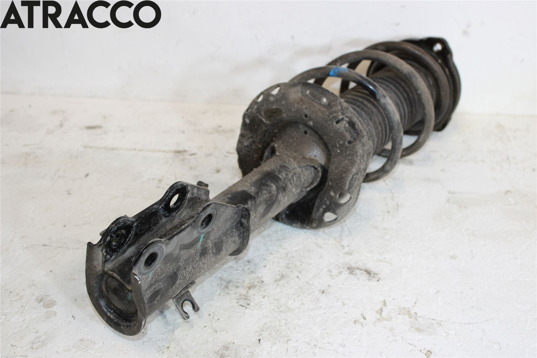 MG 4 23- Fjærbein Foran Høyre