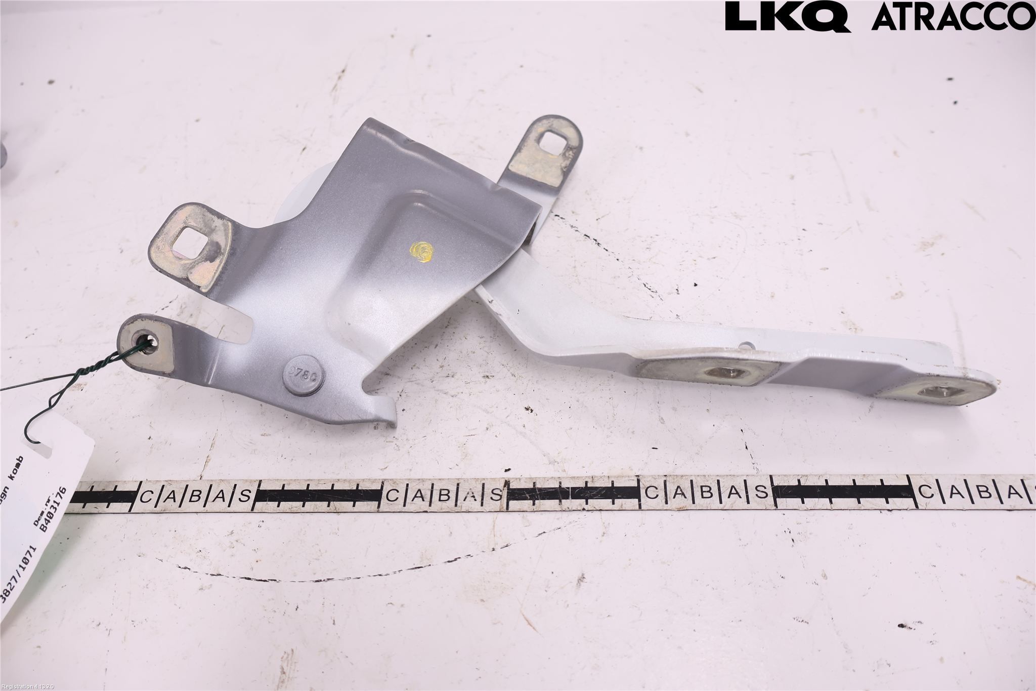 Renault CLIO IV 16-19 Panser Hengsel - Hengsler