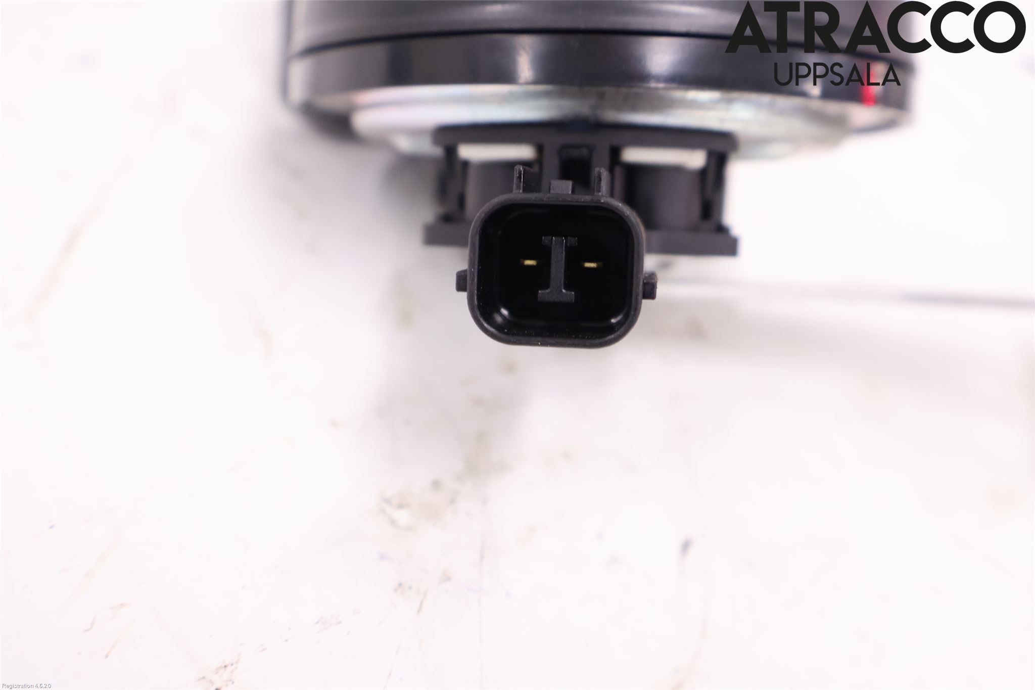 BYD ATTO 22- Signalhorn