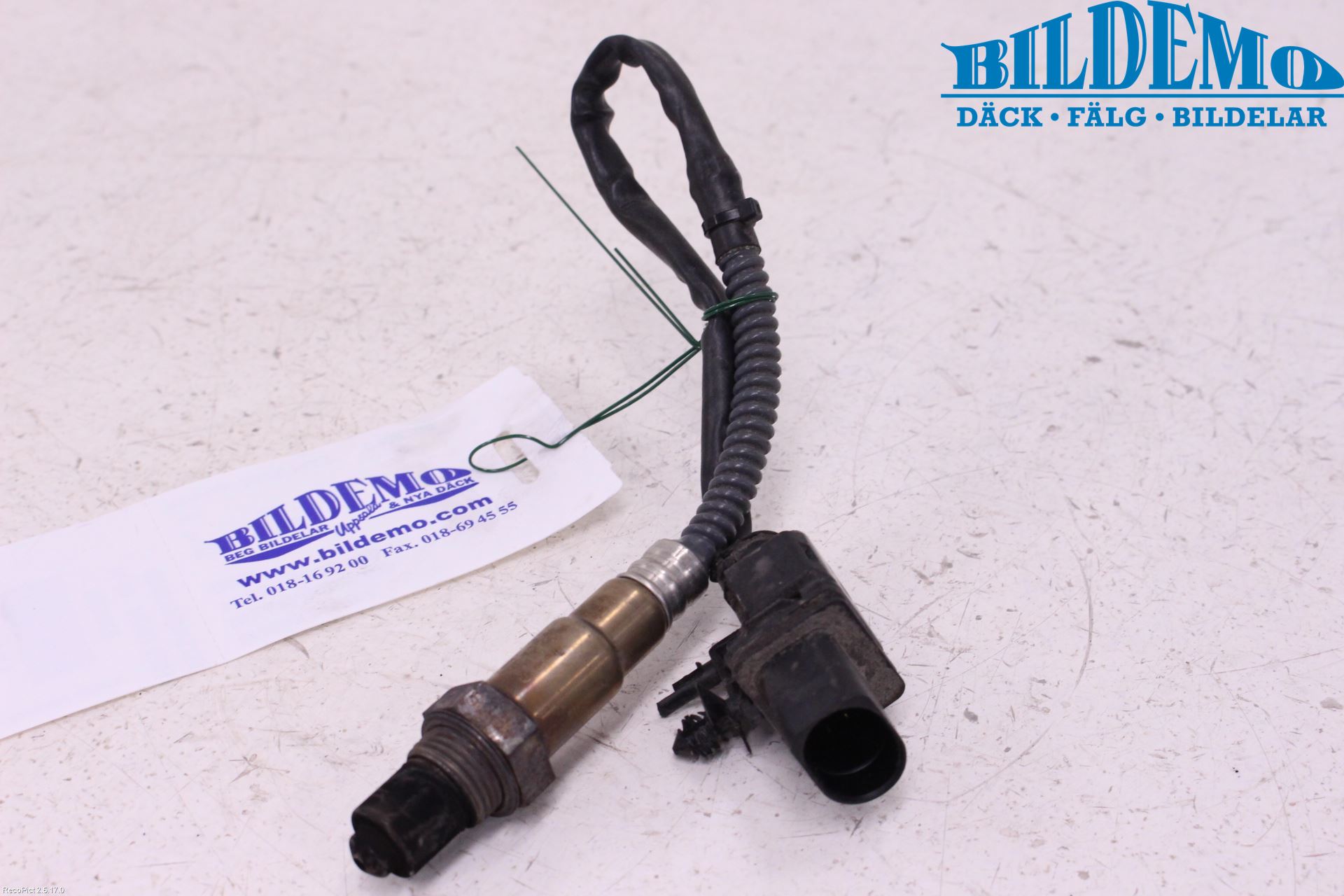 Ford FOCUS 08-11 Inns Lambdasonde