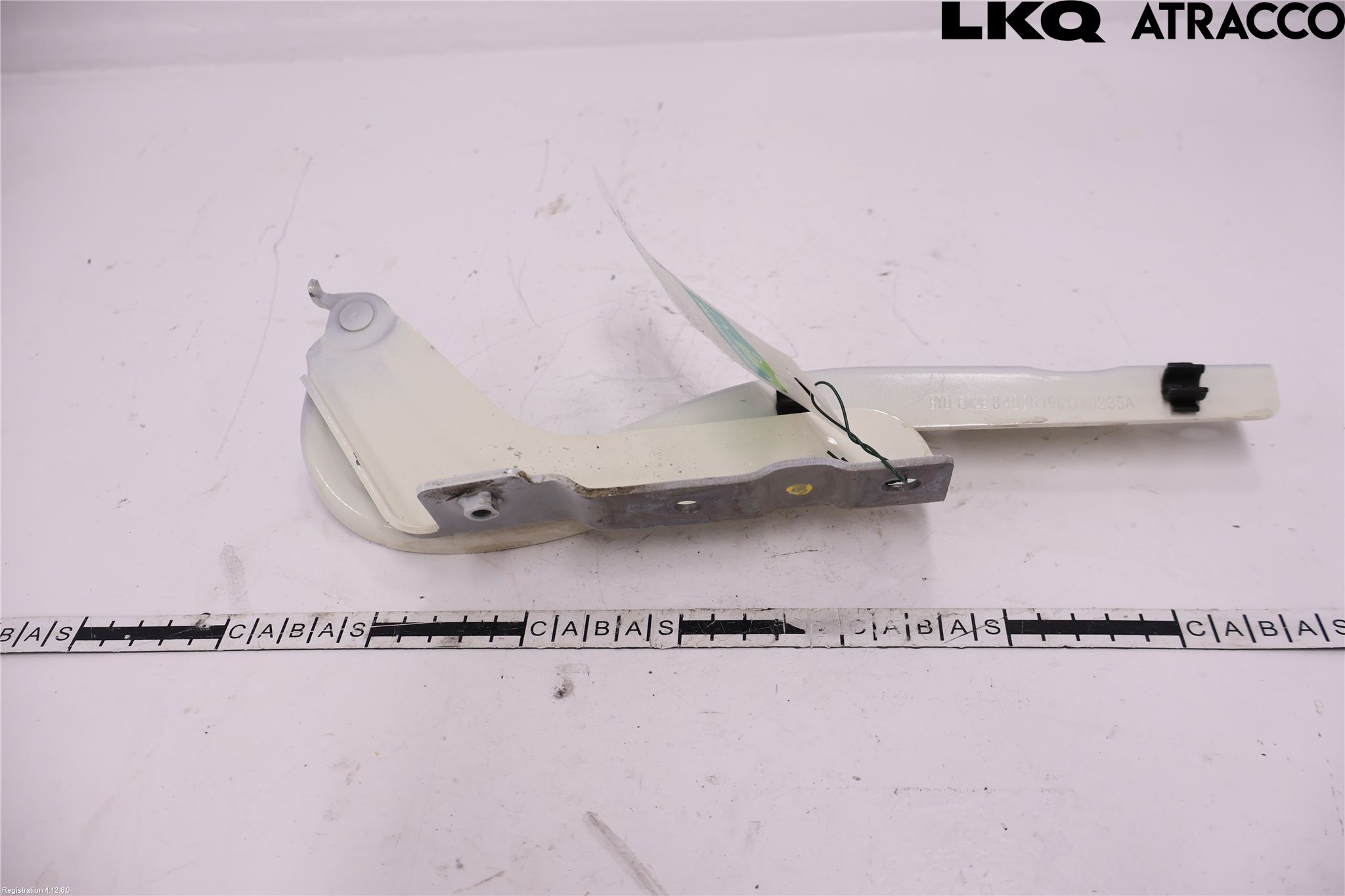 BYD DOLPHIN 21- Panser Hengsel - Hengsler