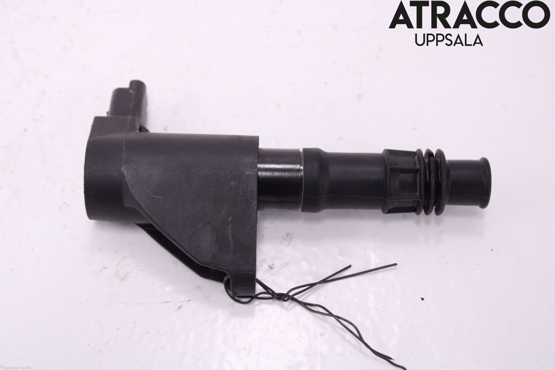 Peugeot 406     99-04 Coil