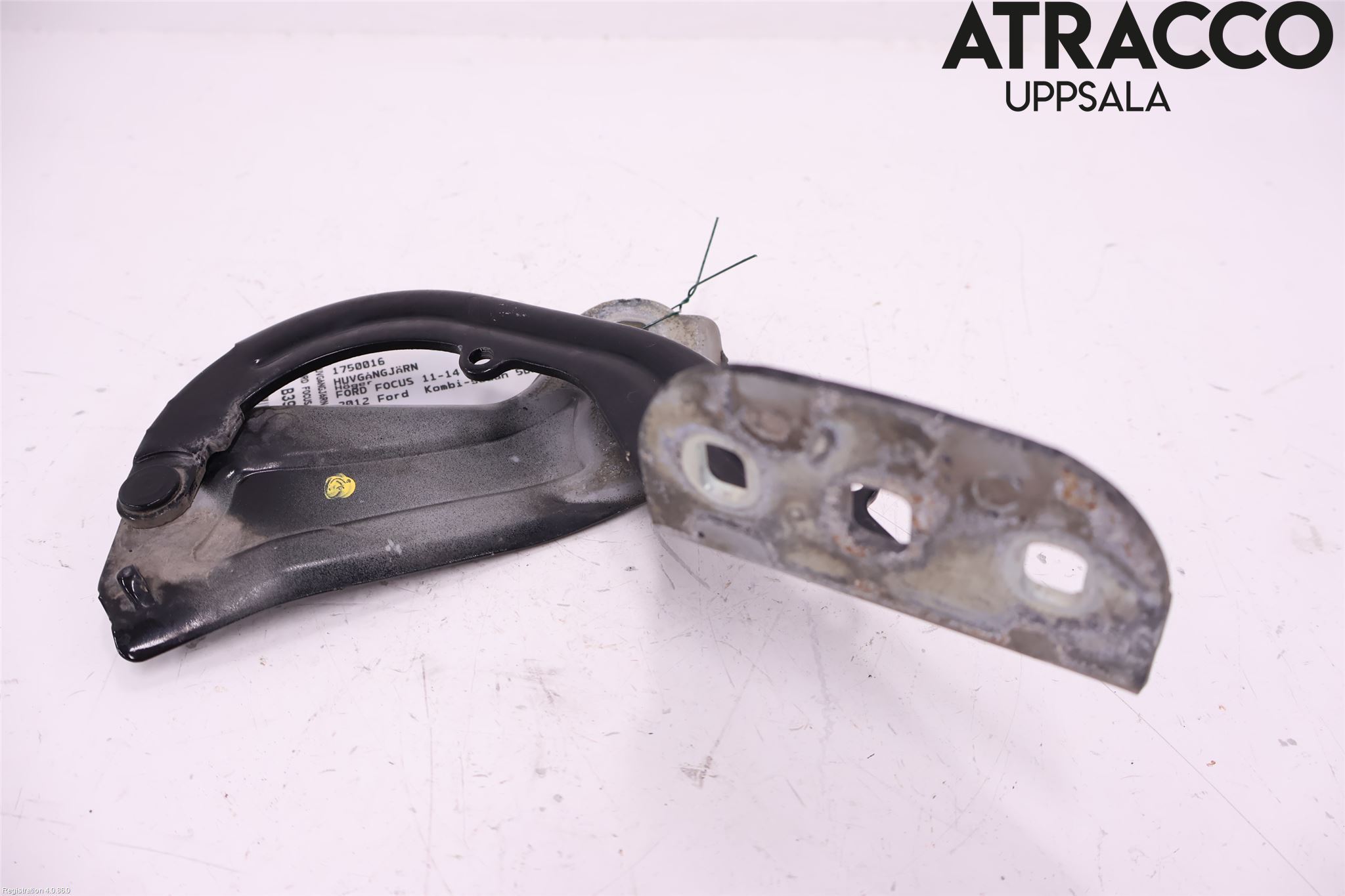 Ford FOCUS 11-14 Panser Hengsel - Hengsler