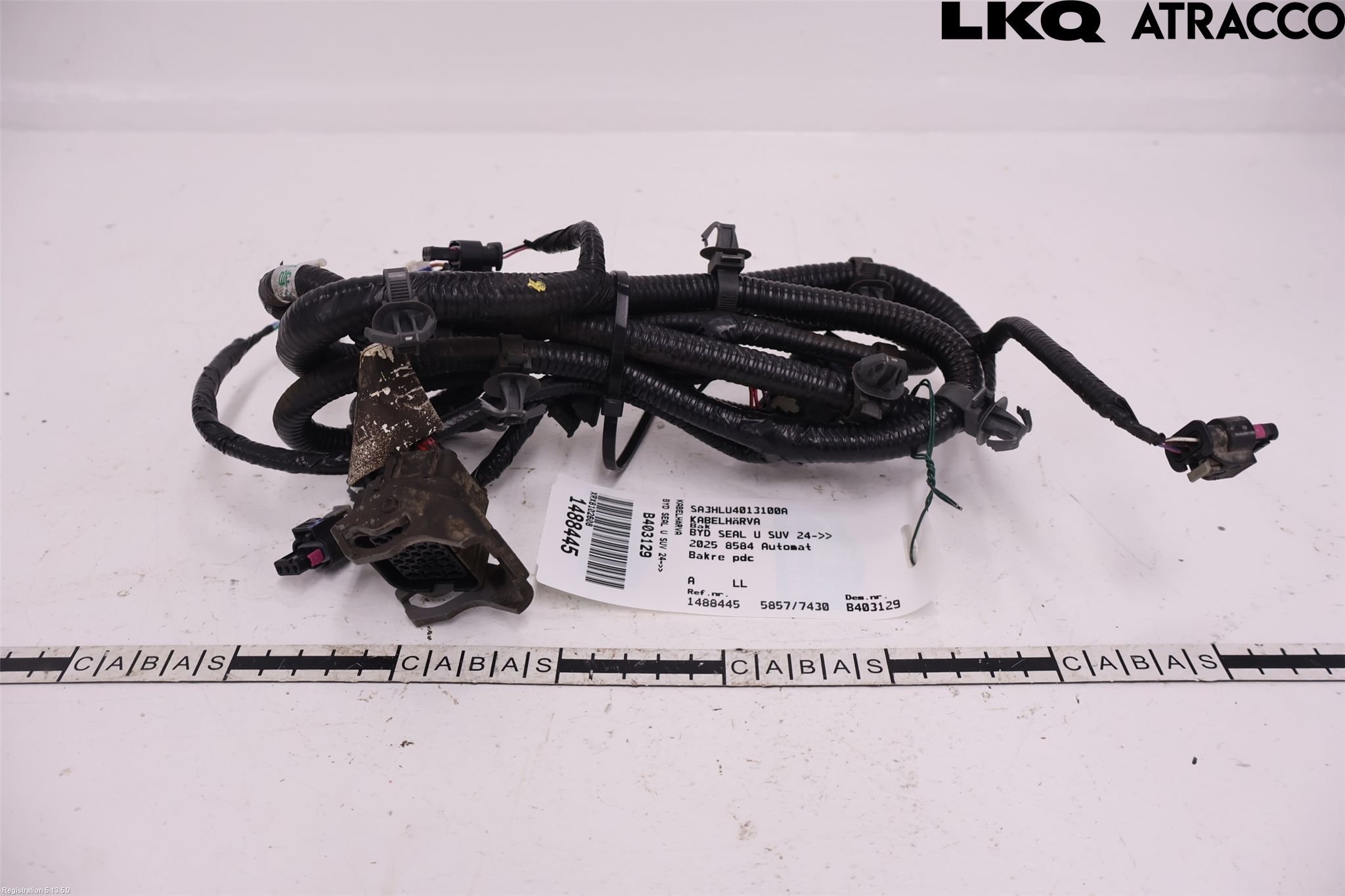 BYD SEAL U 24- Ledningsnett