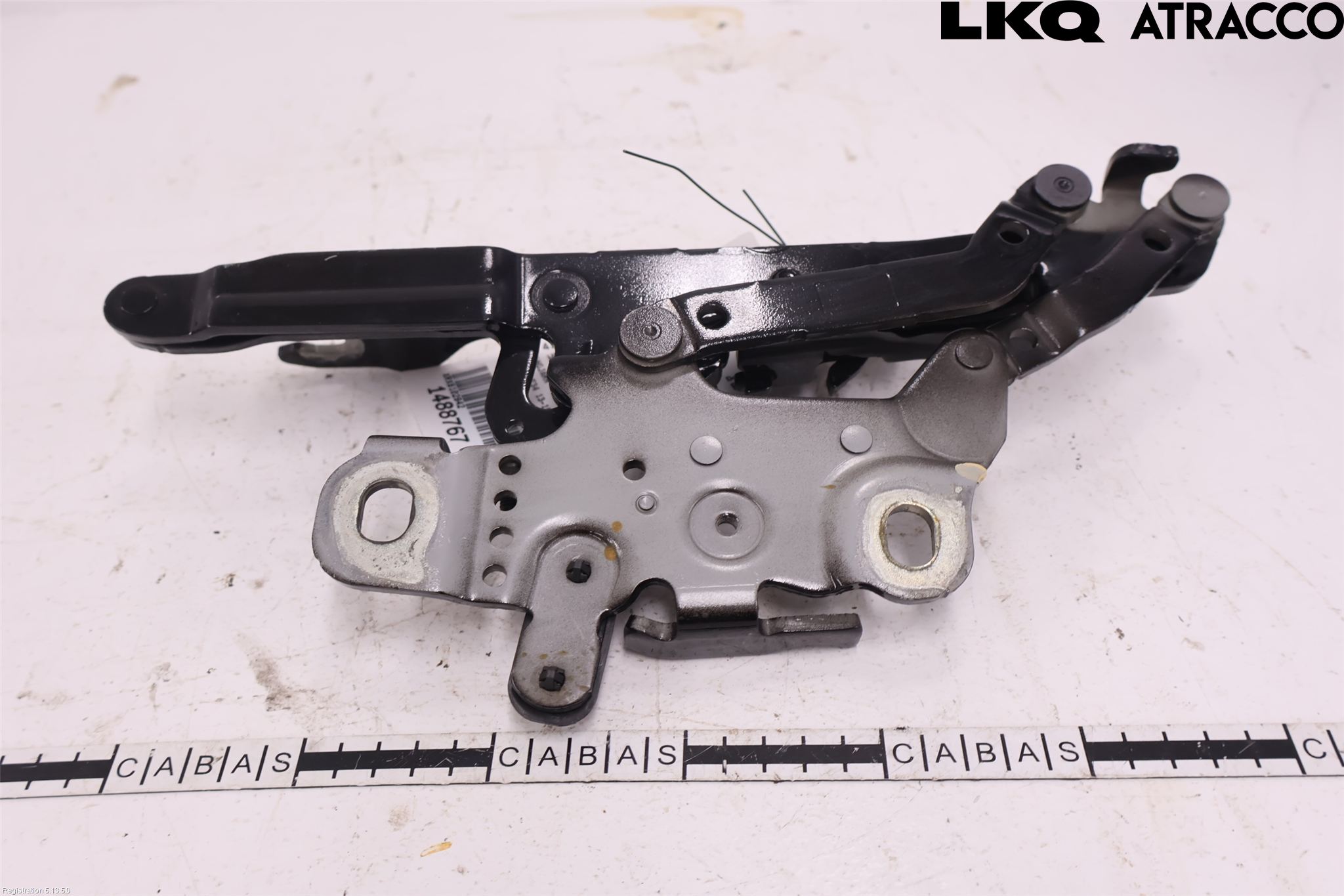BMW 3 GT F34 13-19 Panser Hengsel - Hengsler