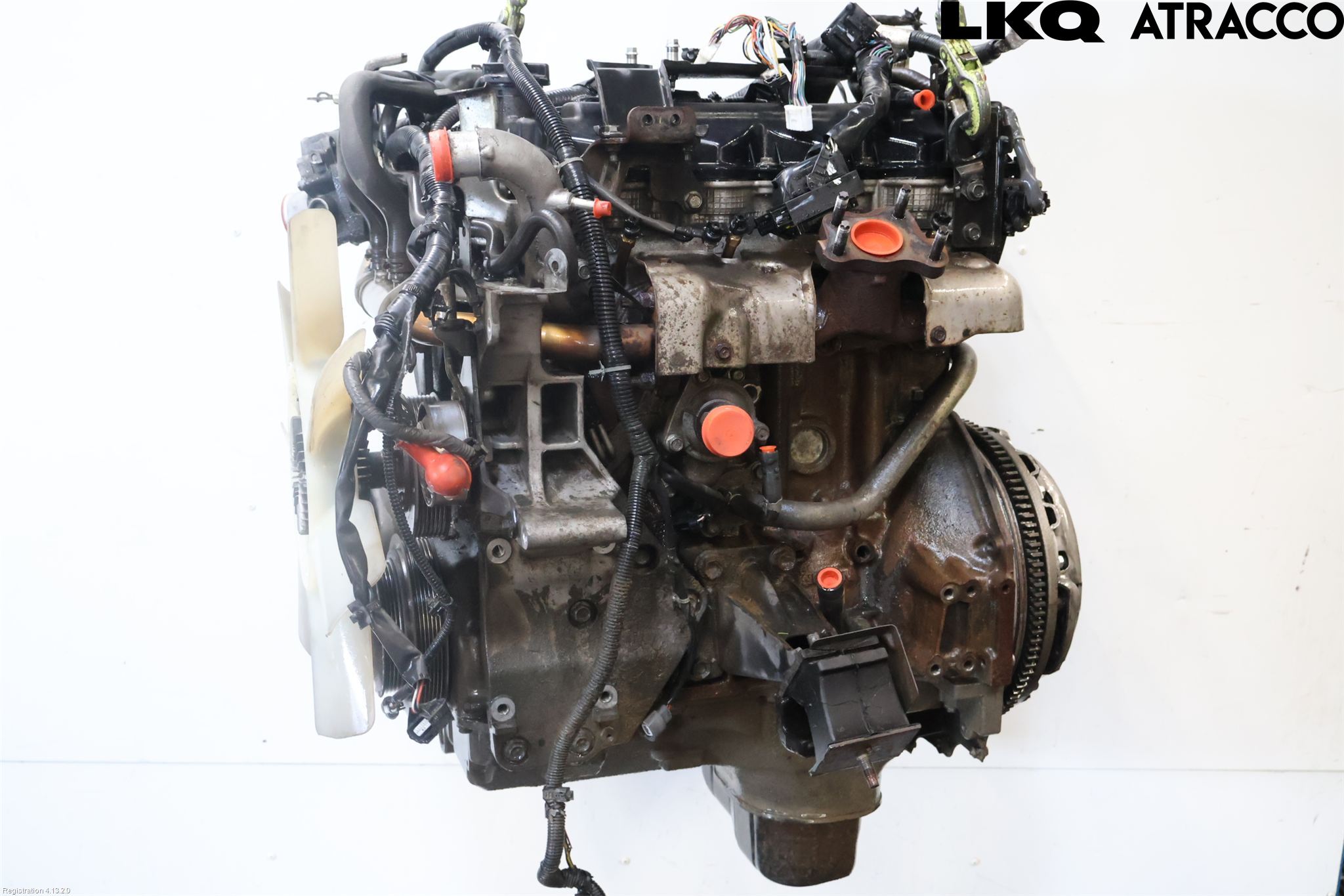 Nissan NAVARA 05-16 Motor Diesel