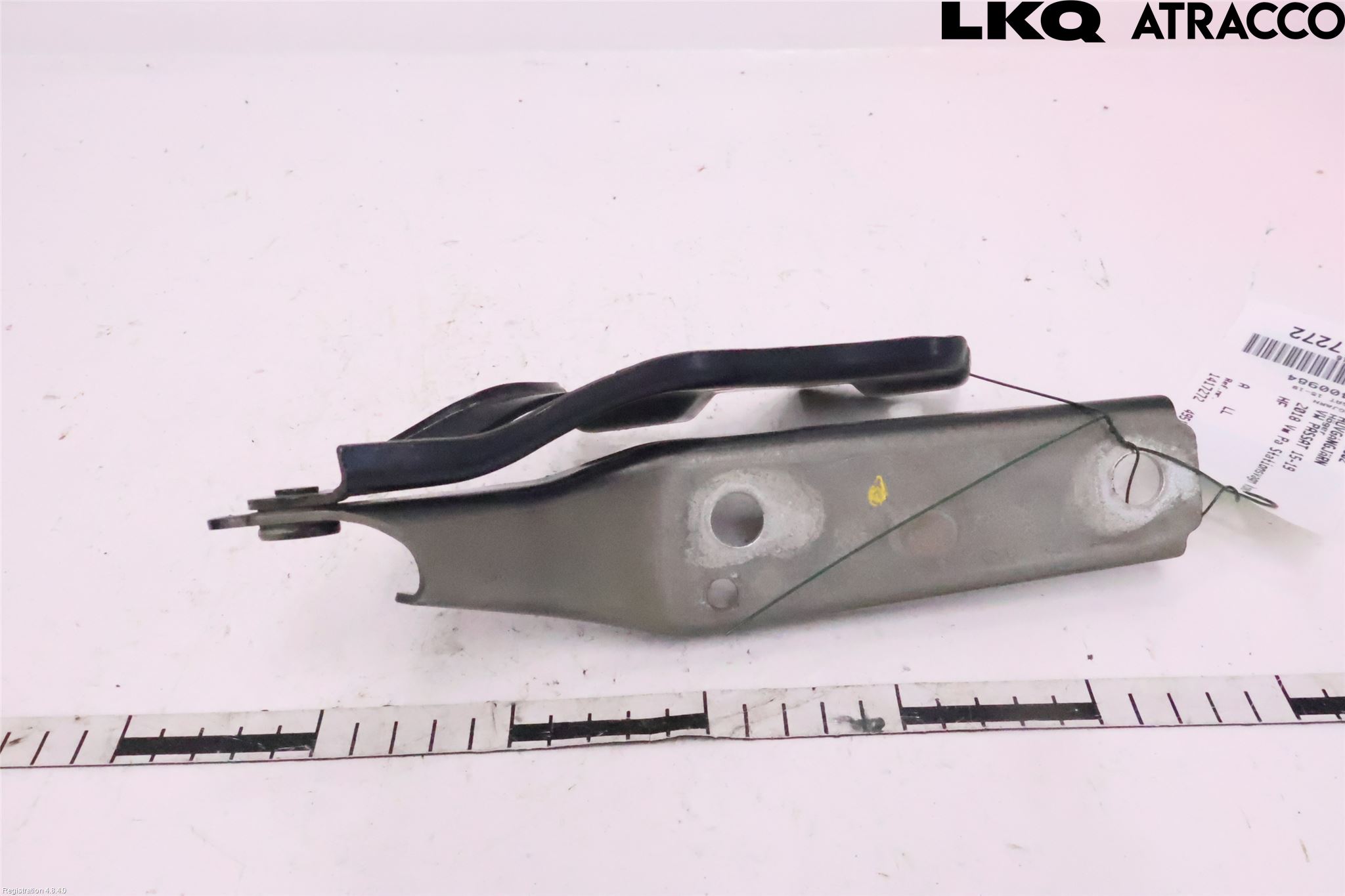 Volkswagen VW PASSAT 15-19 Panser Hengsel - Hengsler