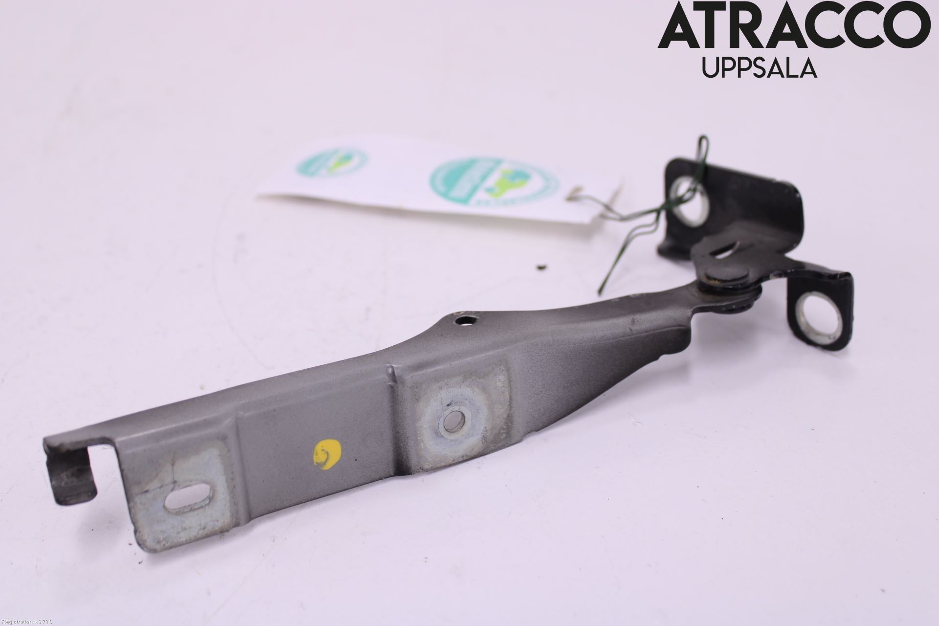 Citroen C3 10-17 Panser Hengsel - Hengsler