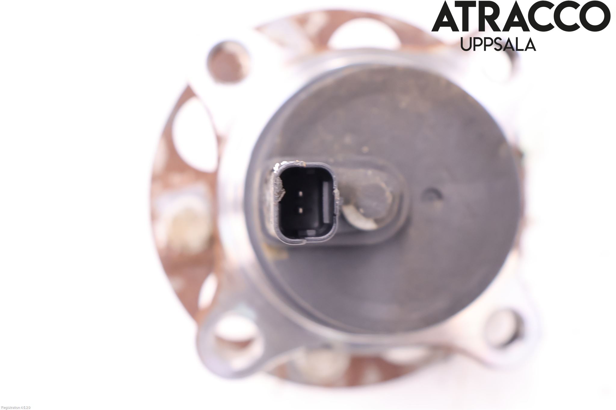 BYD ATTO 22- Nav Bak