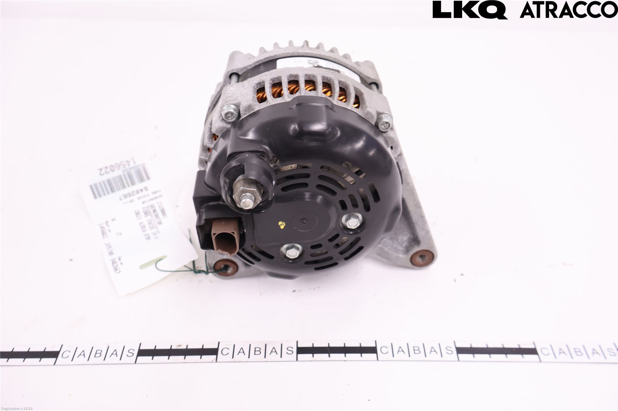 Ford FOCUS 19- Dynamo