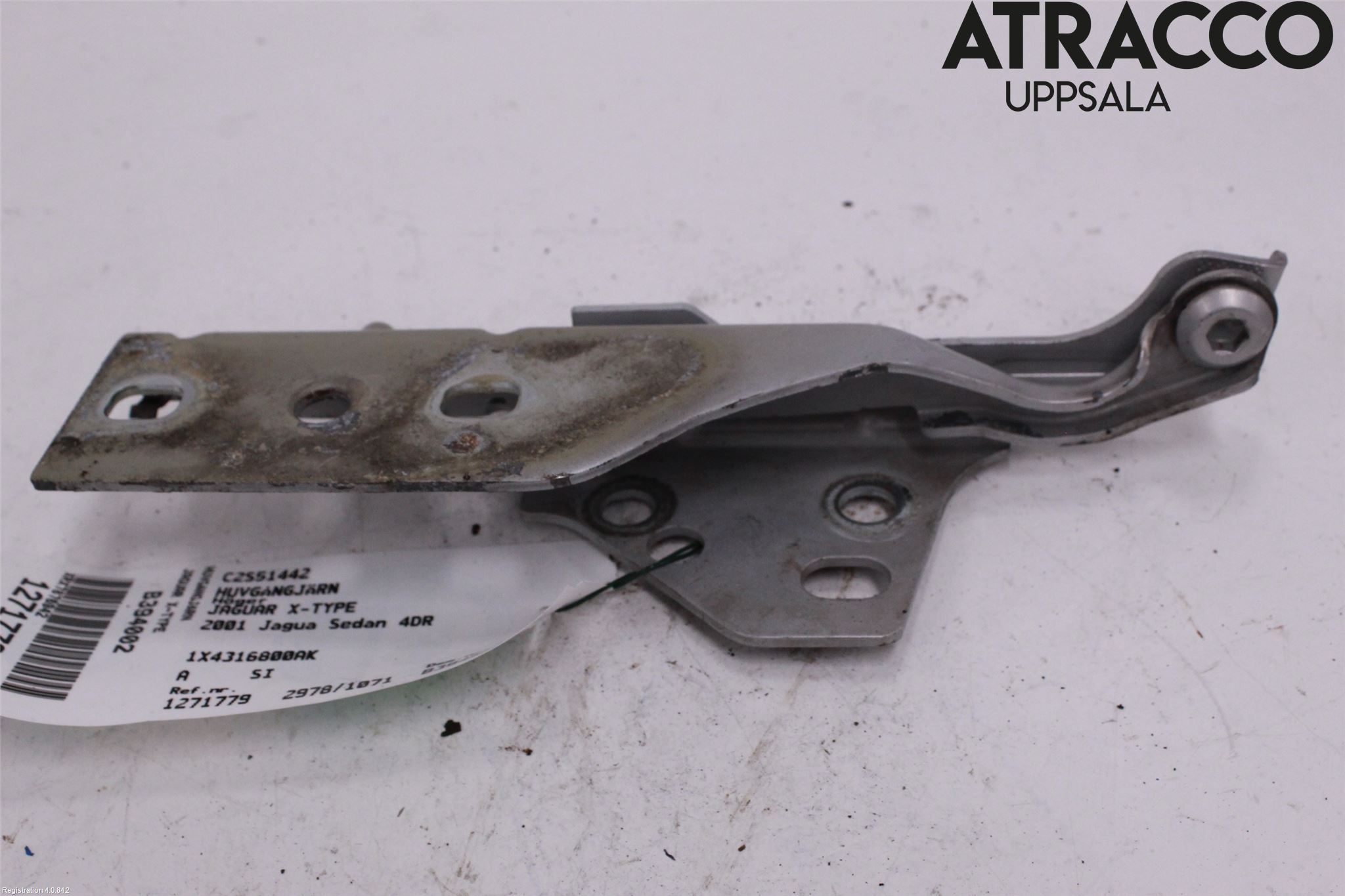 Jaguar X-TYPE Panser Hengsel - Hengsler