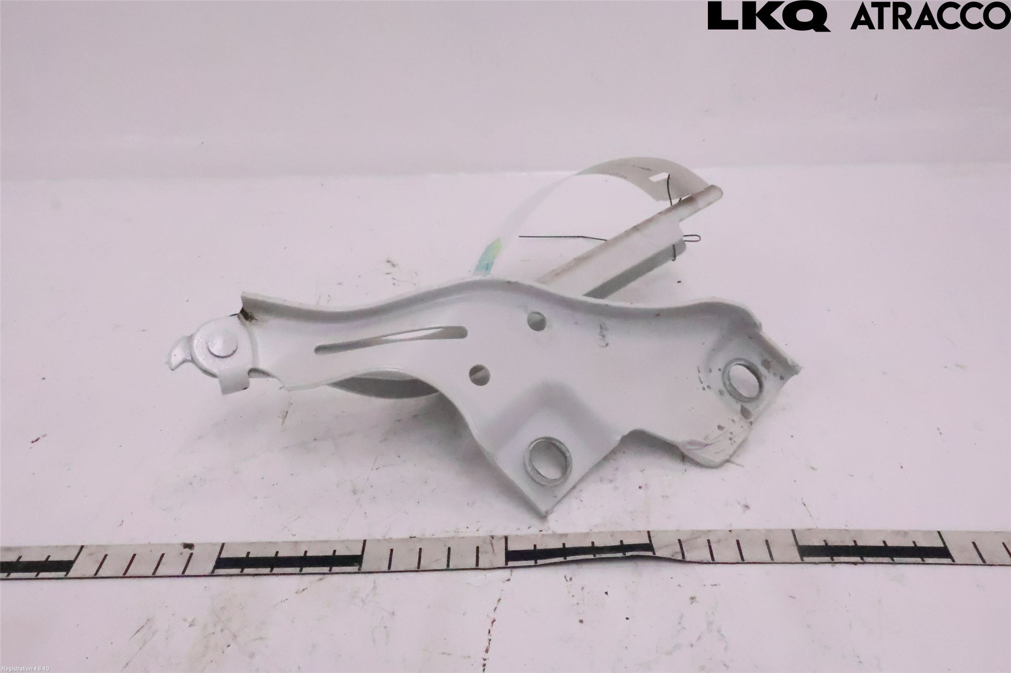 Volkswagen VW PASSAT 15-19 Panser Hengsel - Hengsler