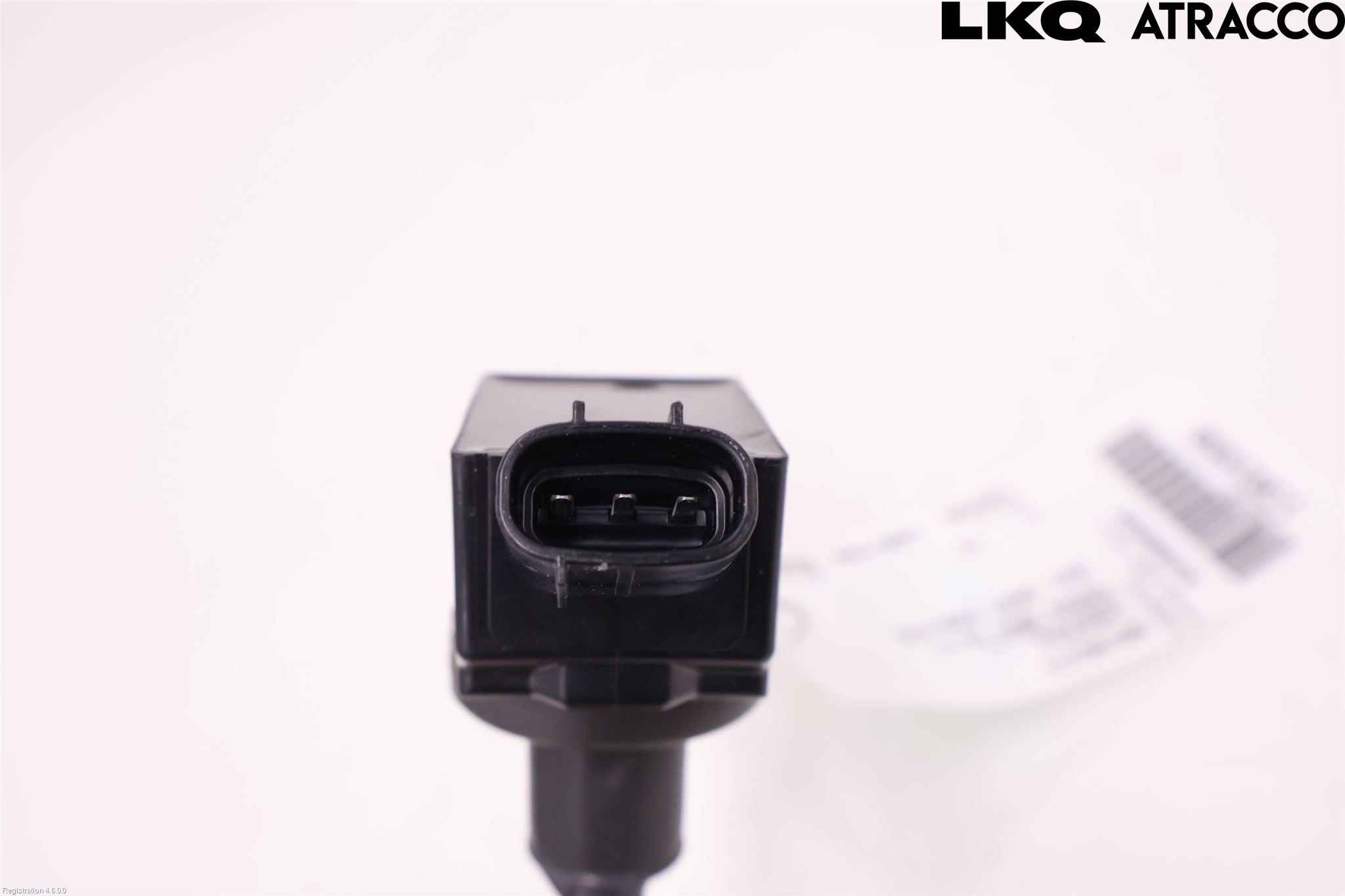 Toyota RAV4 19- Coil