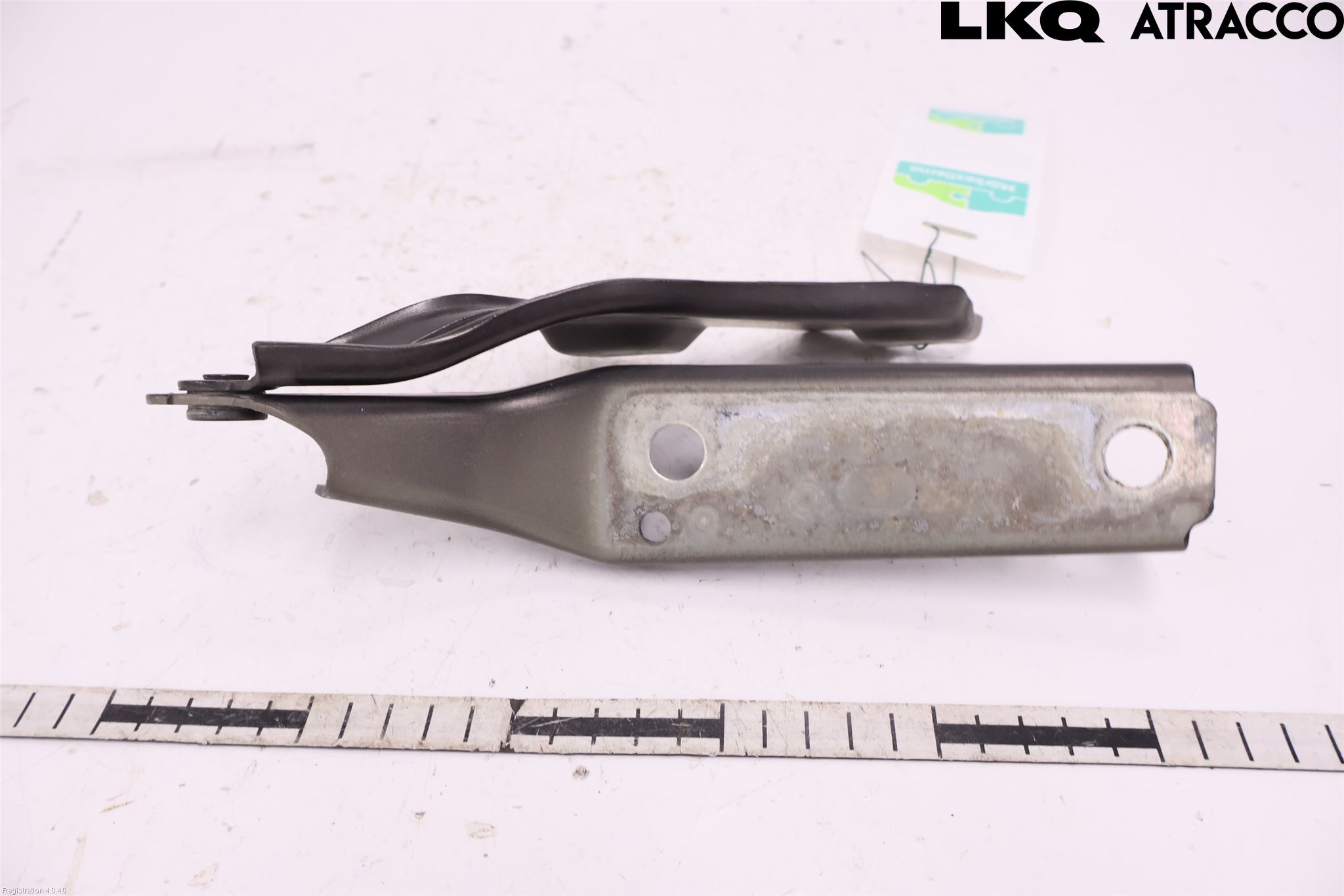 Volkswagen VW PASSAT 15-19 Panser Hengsel - Hengsler