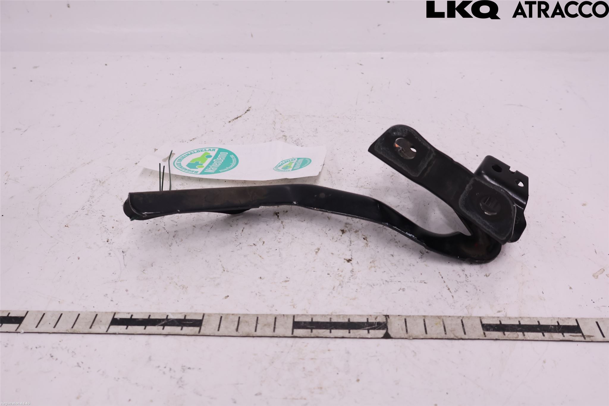 Toyota PRIUS+ ZVW40 12-20 Panser Hengsel - Hengsler