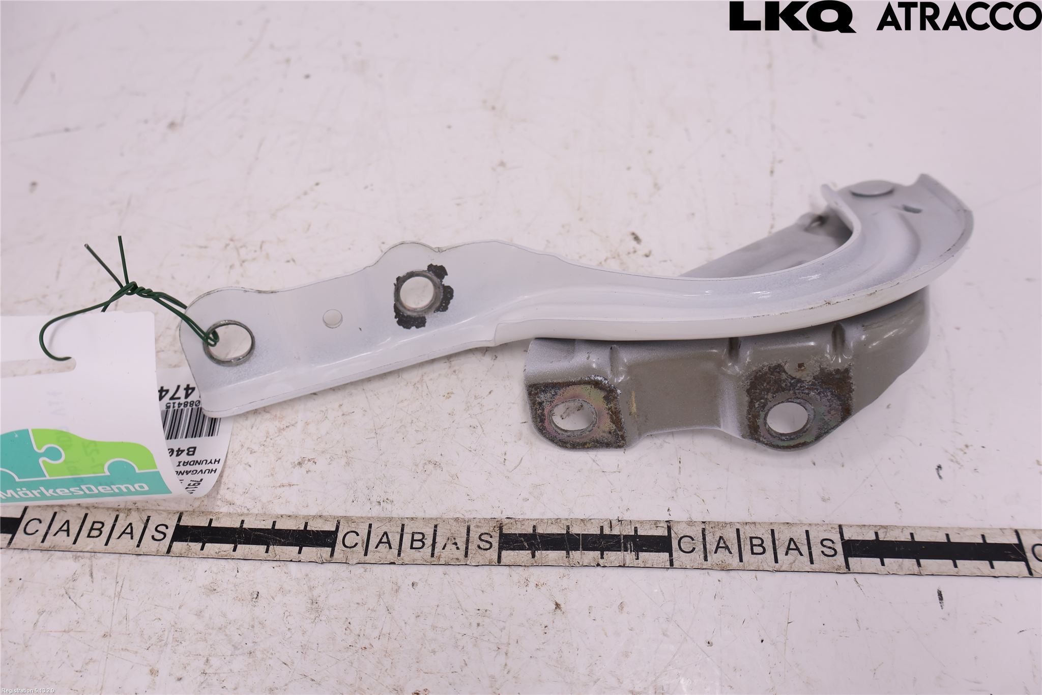 Hyundai IONIQ AE 17-22 Panser Hengsel - Hengsler