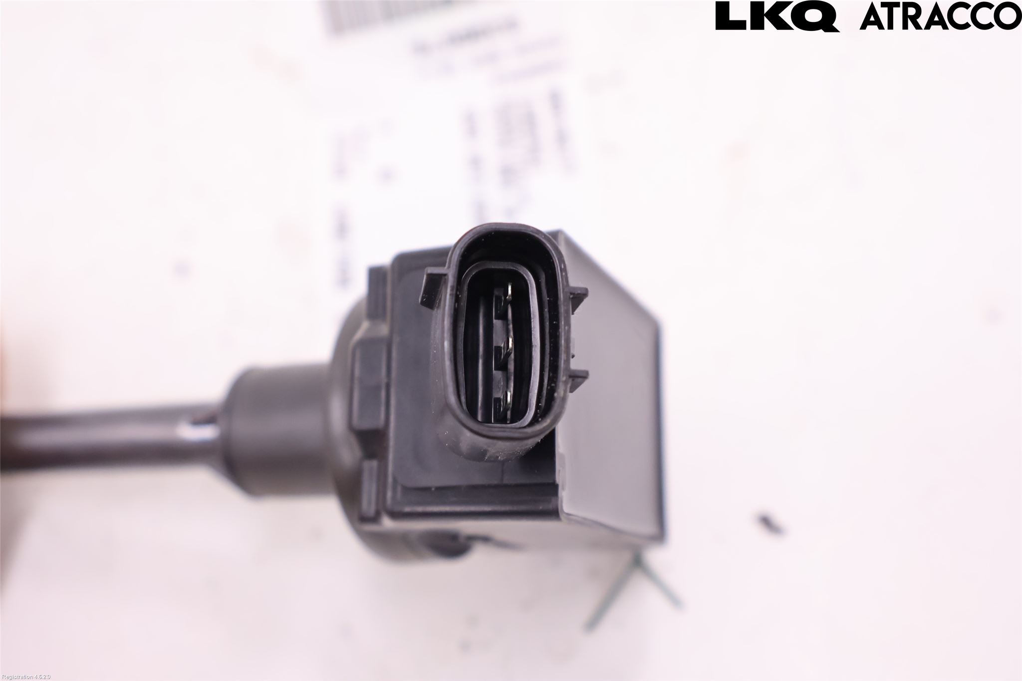 Toyota RAV4 19- Coil