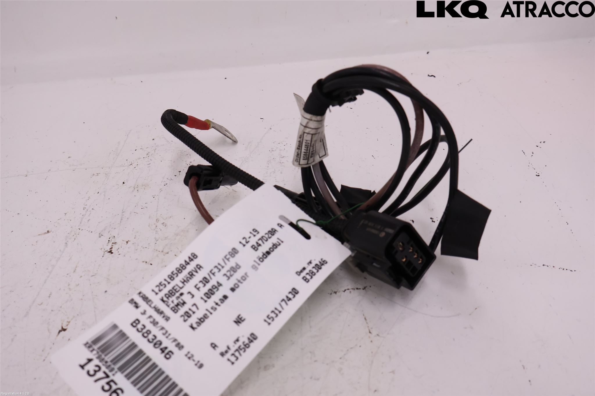 BMW 3 F30/F31/F80 12-19 Ledningsnett