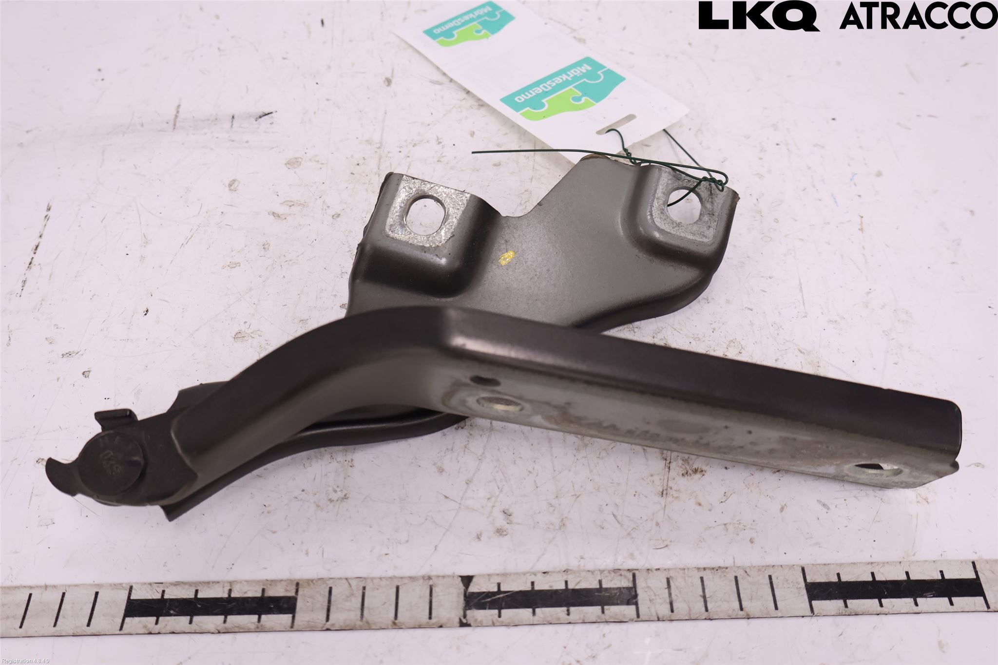 Volkswagen VW PASSAT 15-19 Panser Hengsel - Hengsler