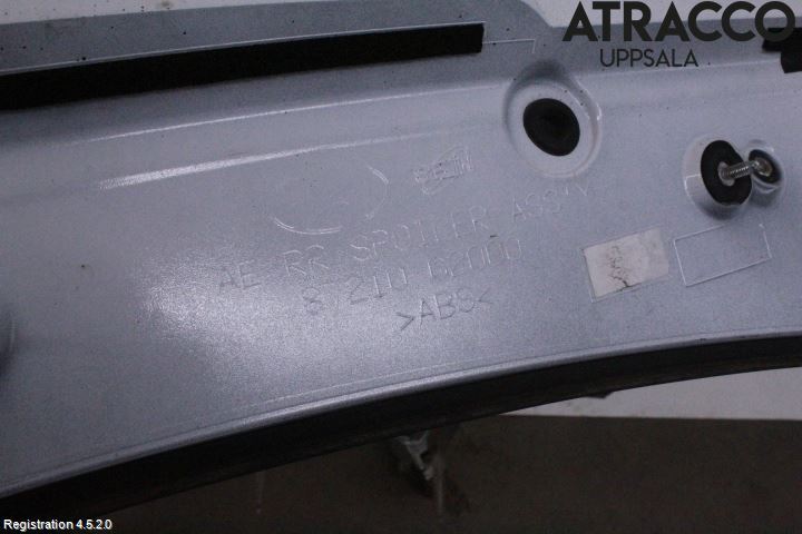 Hyundai IONIQ AE 17-22 Spoiler Bakluke