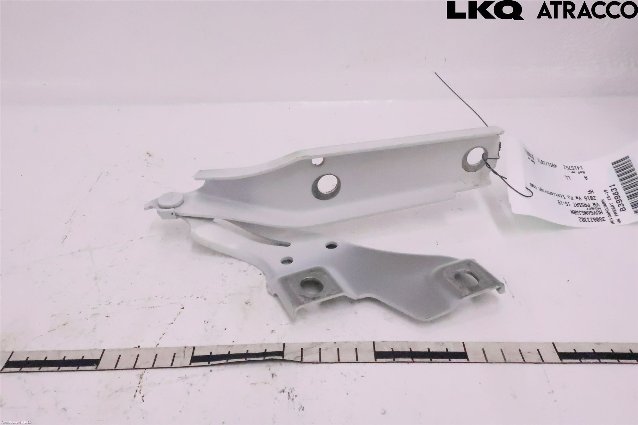 Volkswagen VW PASSAT 15-19 Panser Hengsel - Hengsler