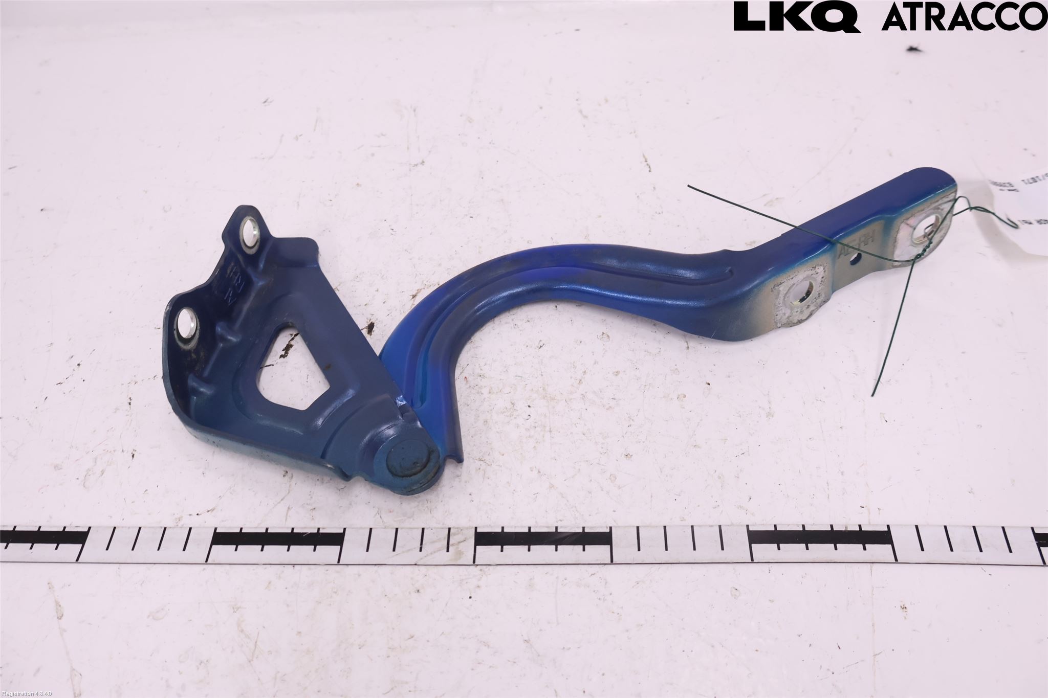 Hyundai IONIQ AE 17-22 Panser Hengsel - Hengsler