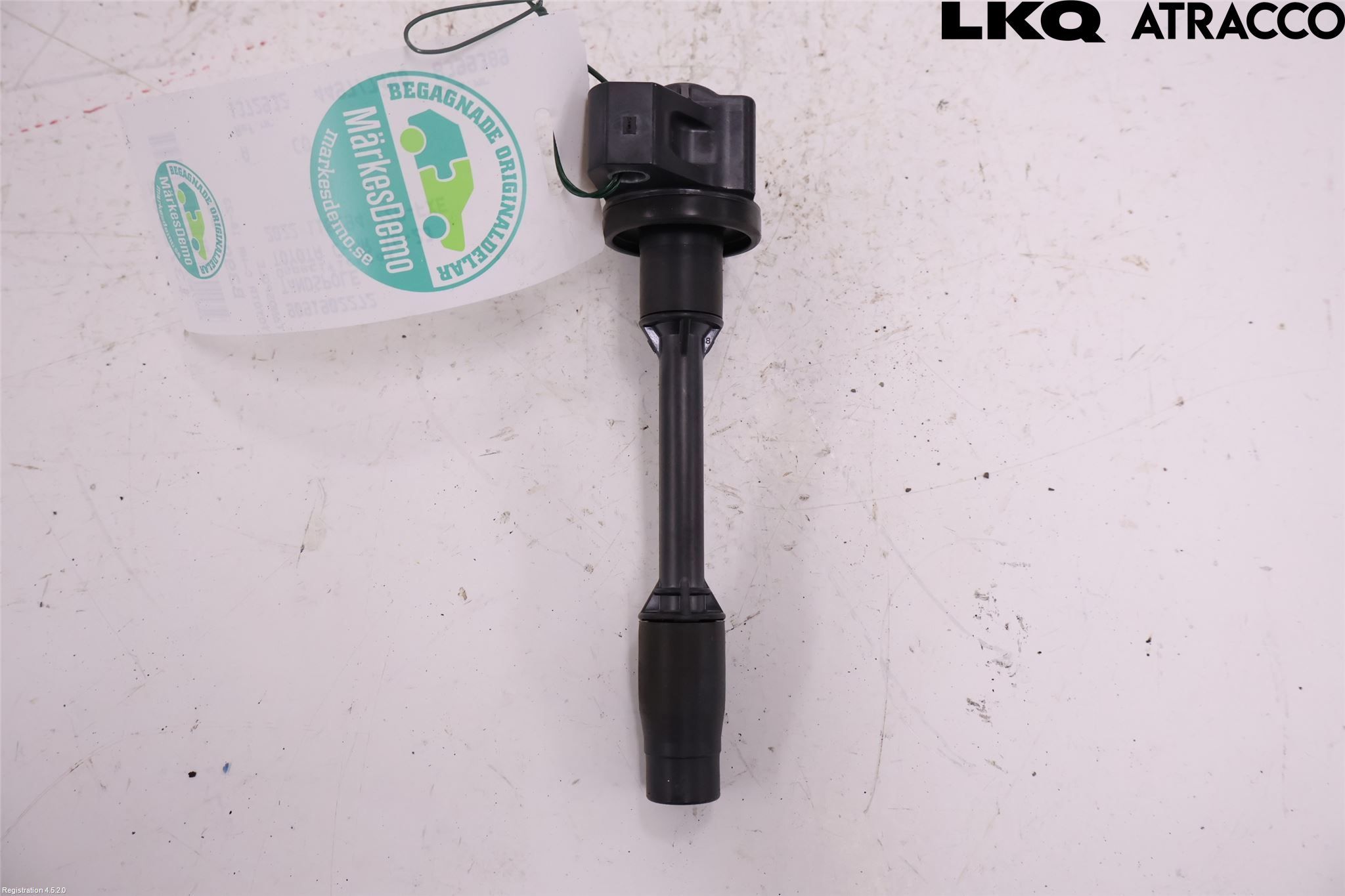 Toyota C-HR 16-23 Coil