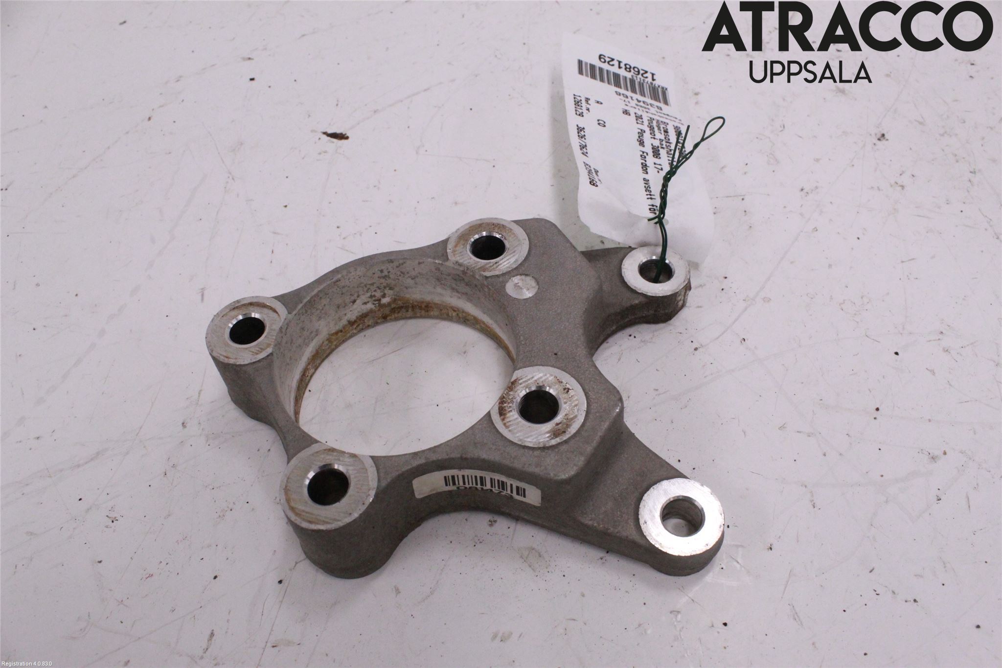 Peugeot 3008 17-24 Bremsecaliper Feste Holder