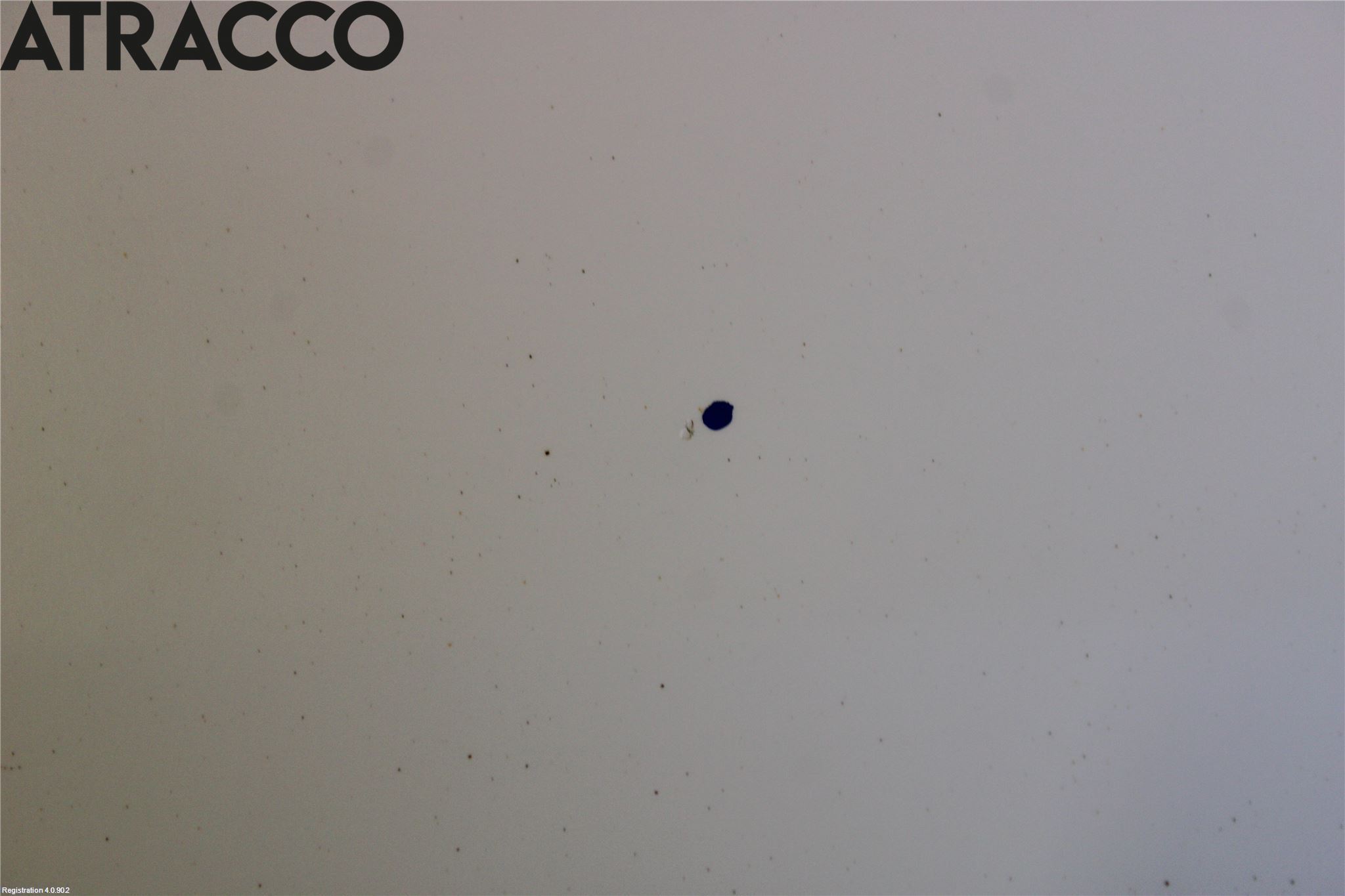 Ford FOCUS 11-14 Dør 4D Bak Venstre