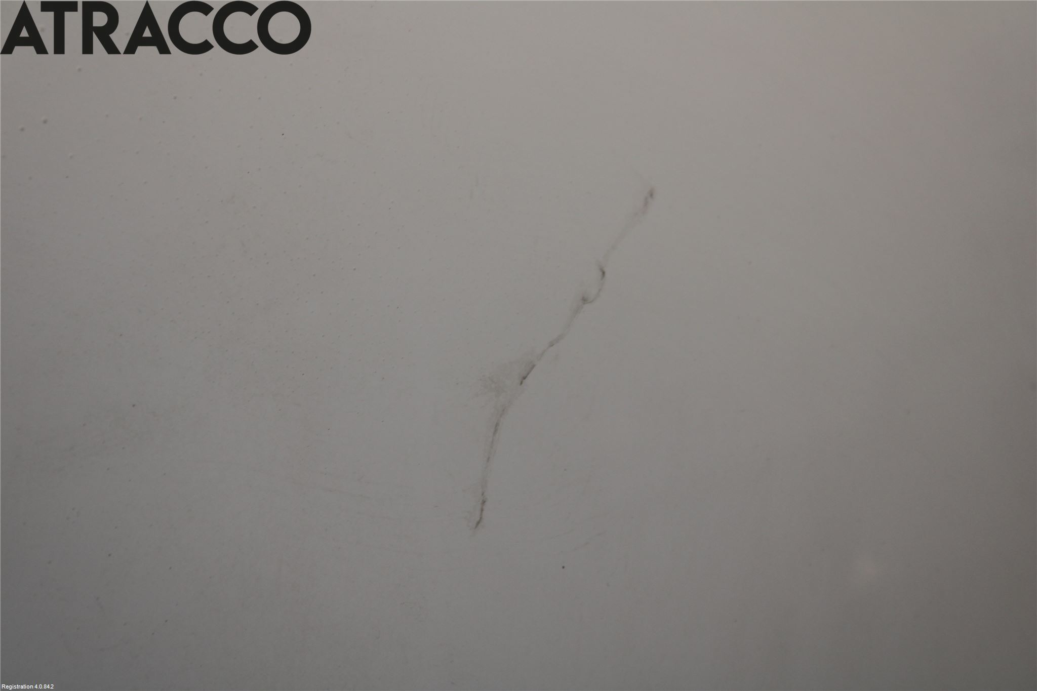 Ford TRANSIT CONNECT 03-08 Panser