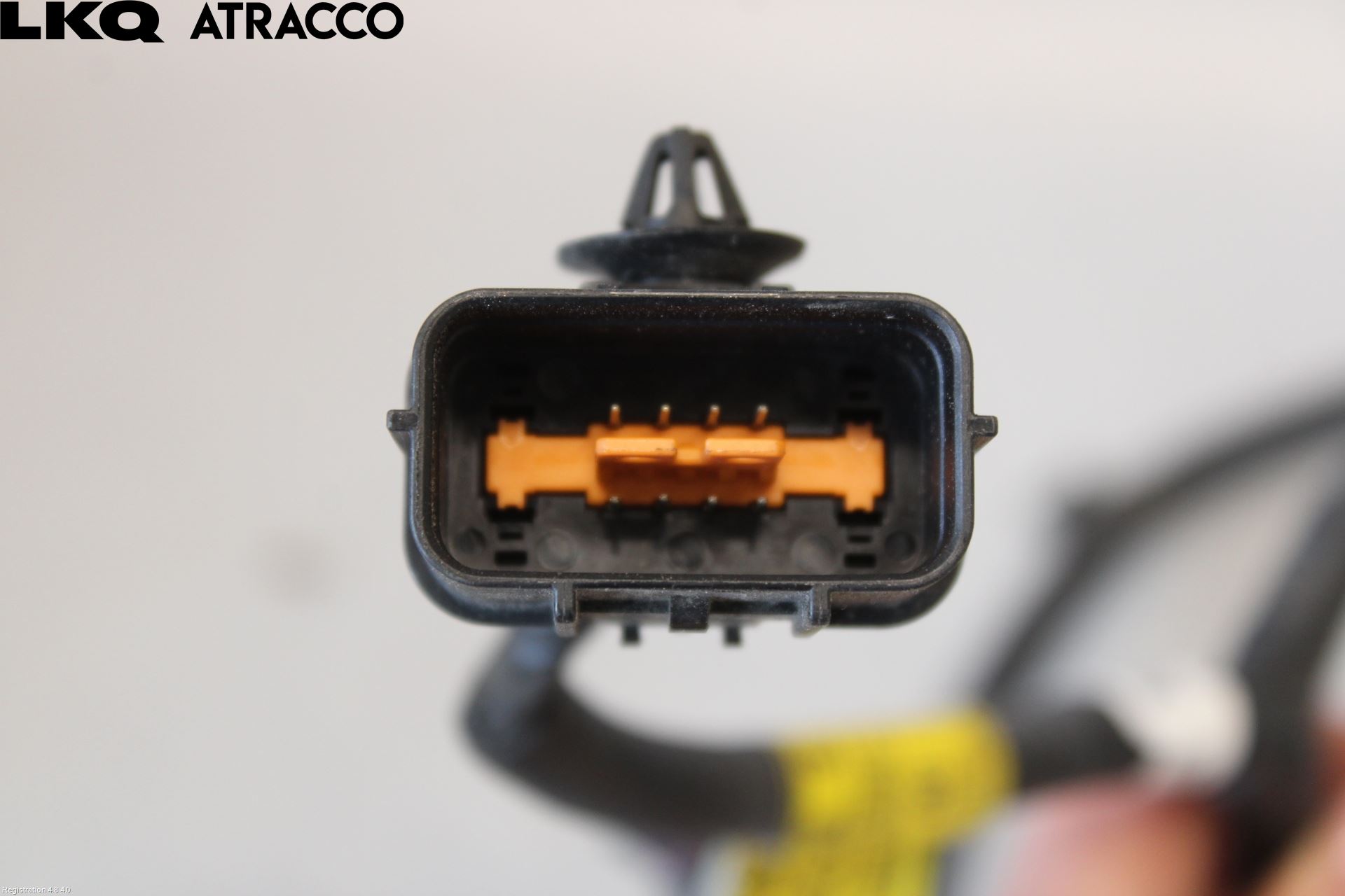 Kia CARENS III 13-19 Ledningsnett