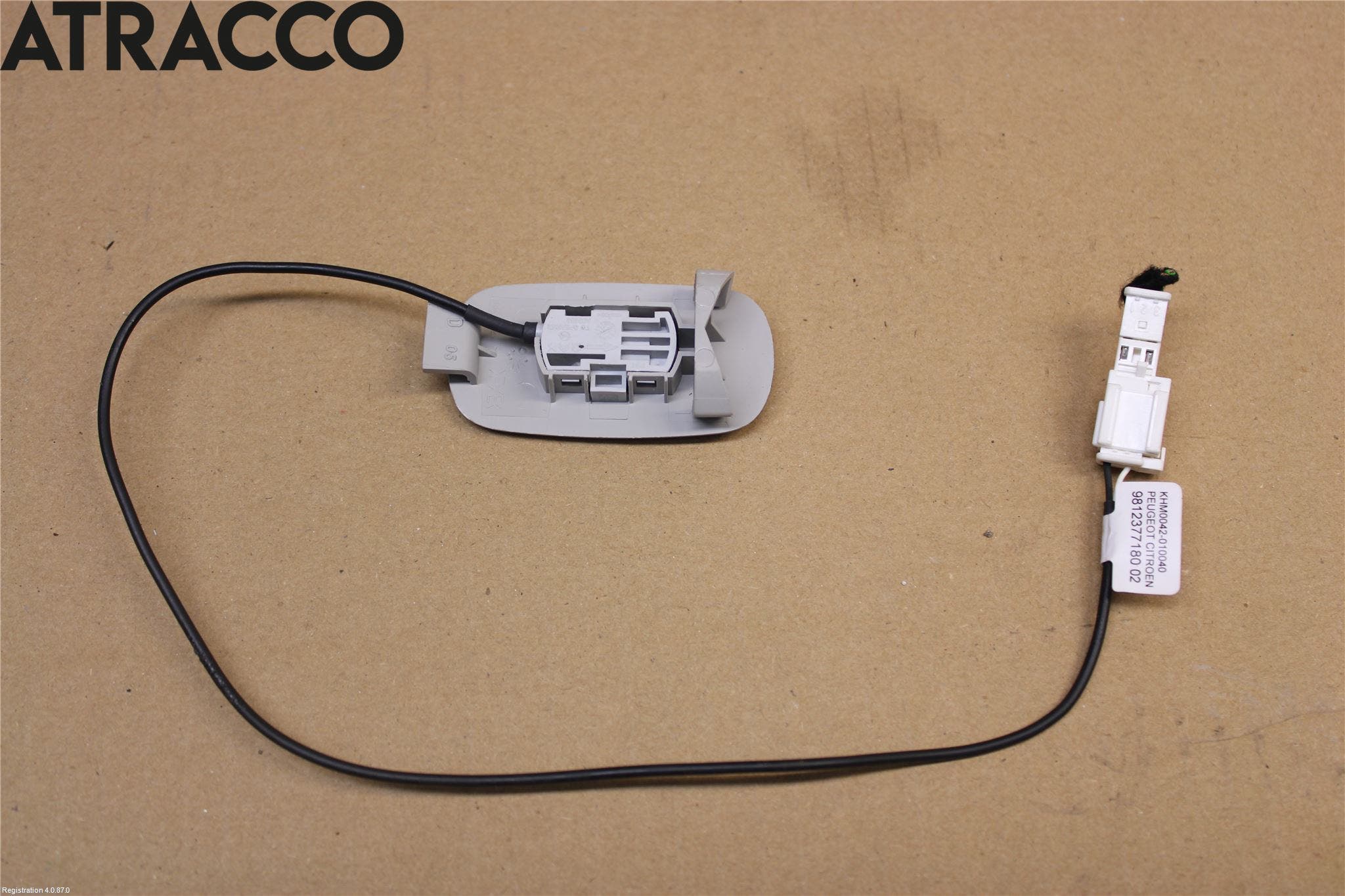 Peugeot EXPERT/E-EXPERT 17- Mikrofon