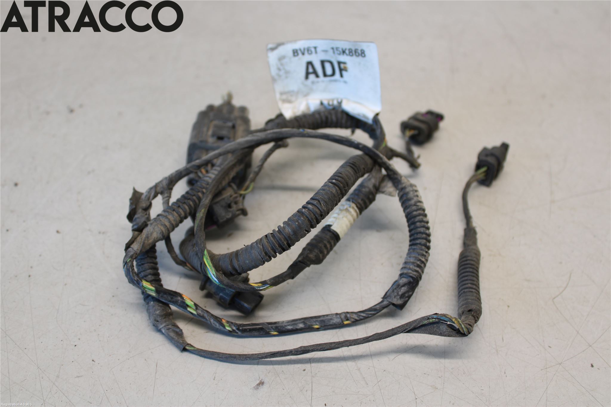 Ford FOCUS 11-14 Ledningsnett