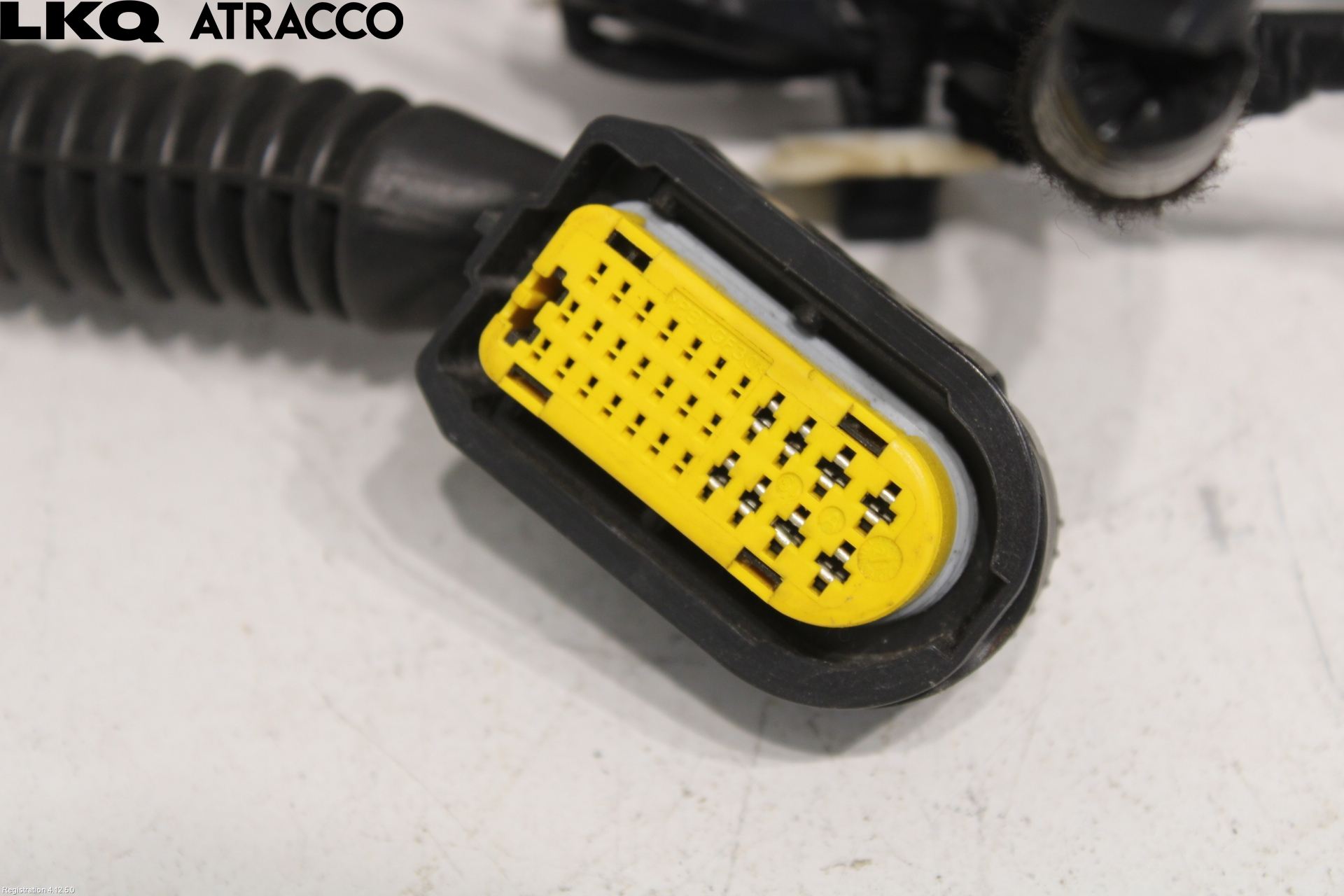 Renault ZOE/E-TECH 13- Ledningsnett