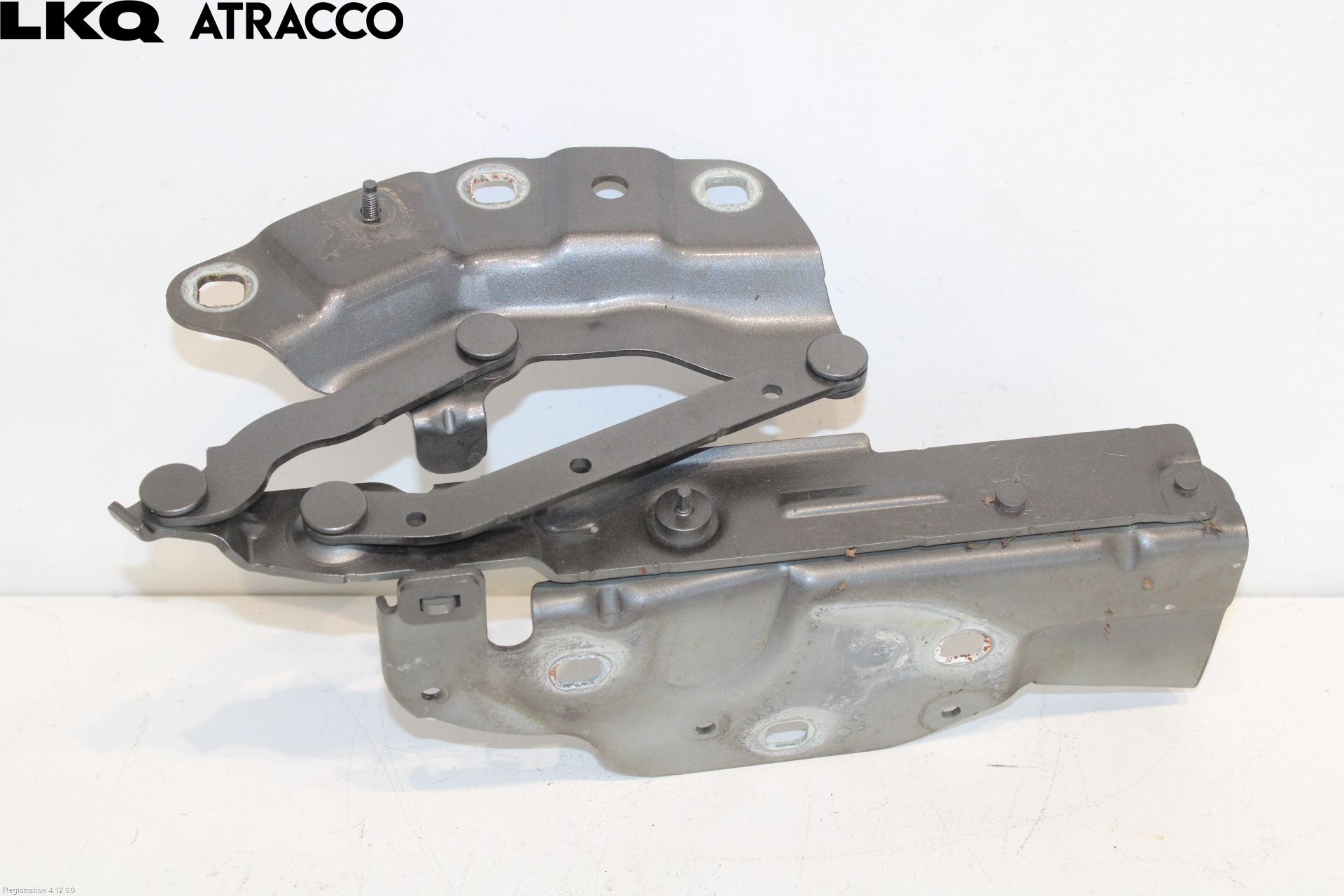 Jaguar I-PACE 18- Panser Hengsel - Hengsler