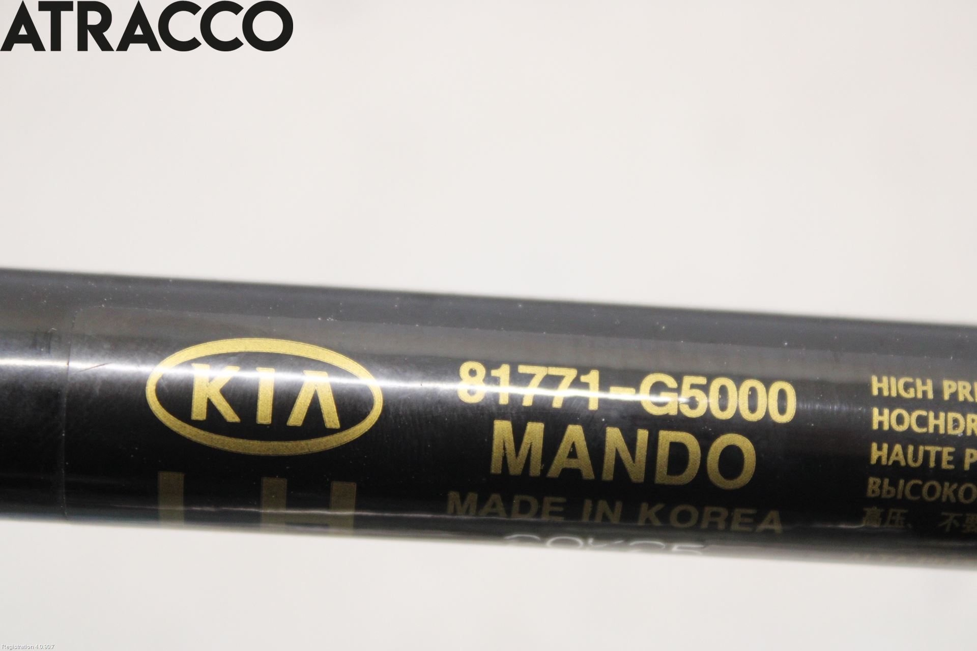 Kia NIRO (DE) 17-22 Bakluke Demper-Gassfjær