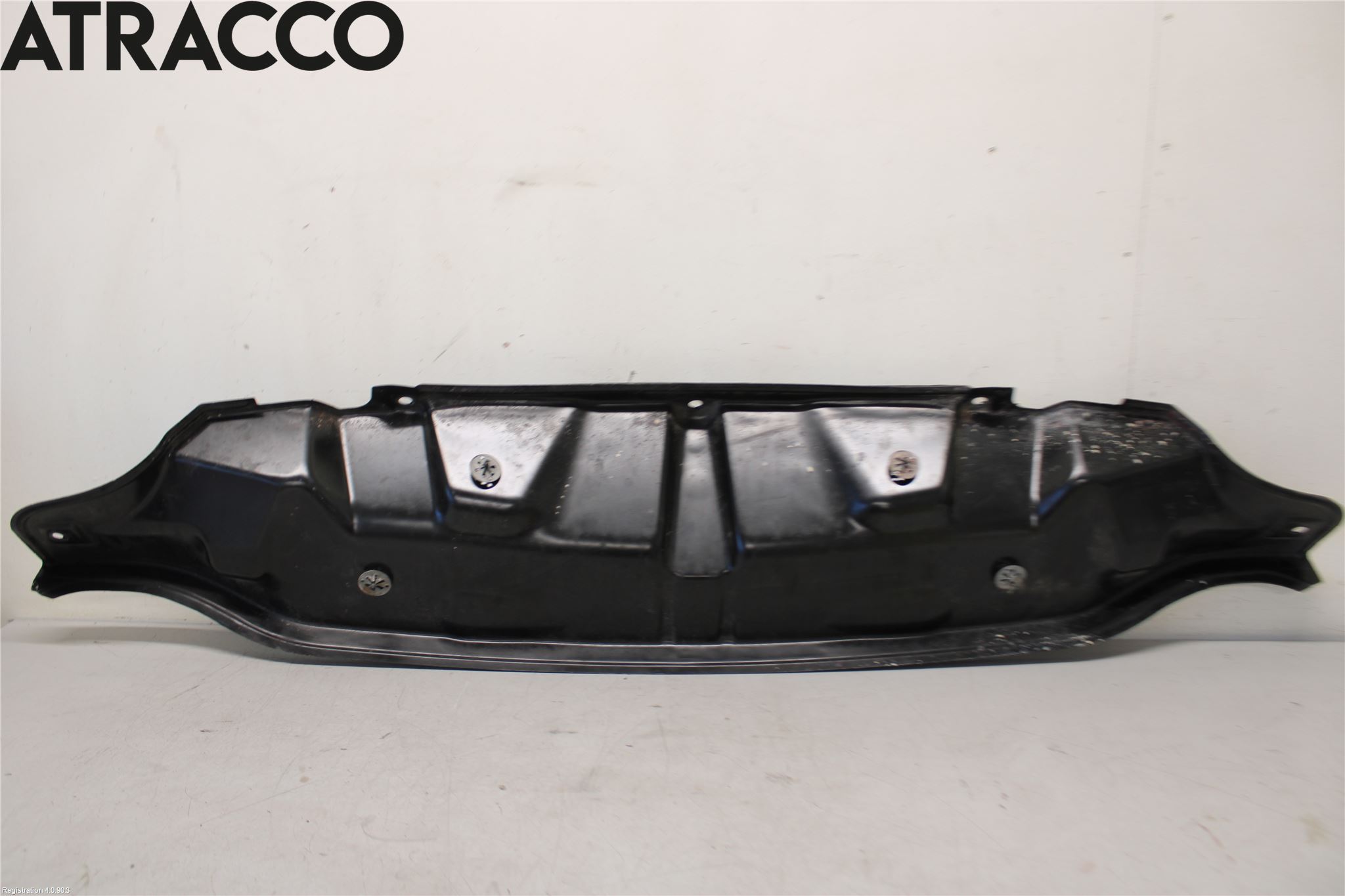 Volkswagen VW CADDY      04-10 Visker Deksel-Grill-Under Frr