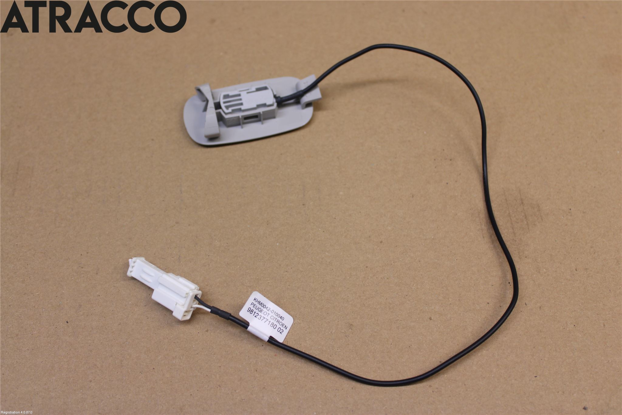 Peugeot EXPERT/E-EXPERT 17- Mikrofon